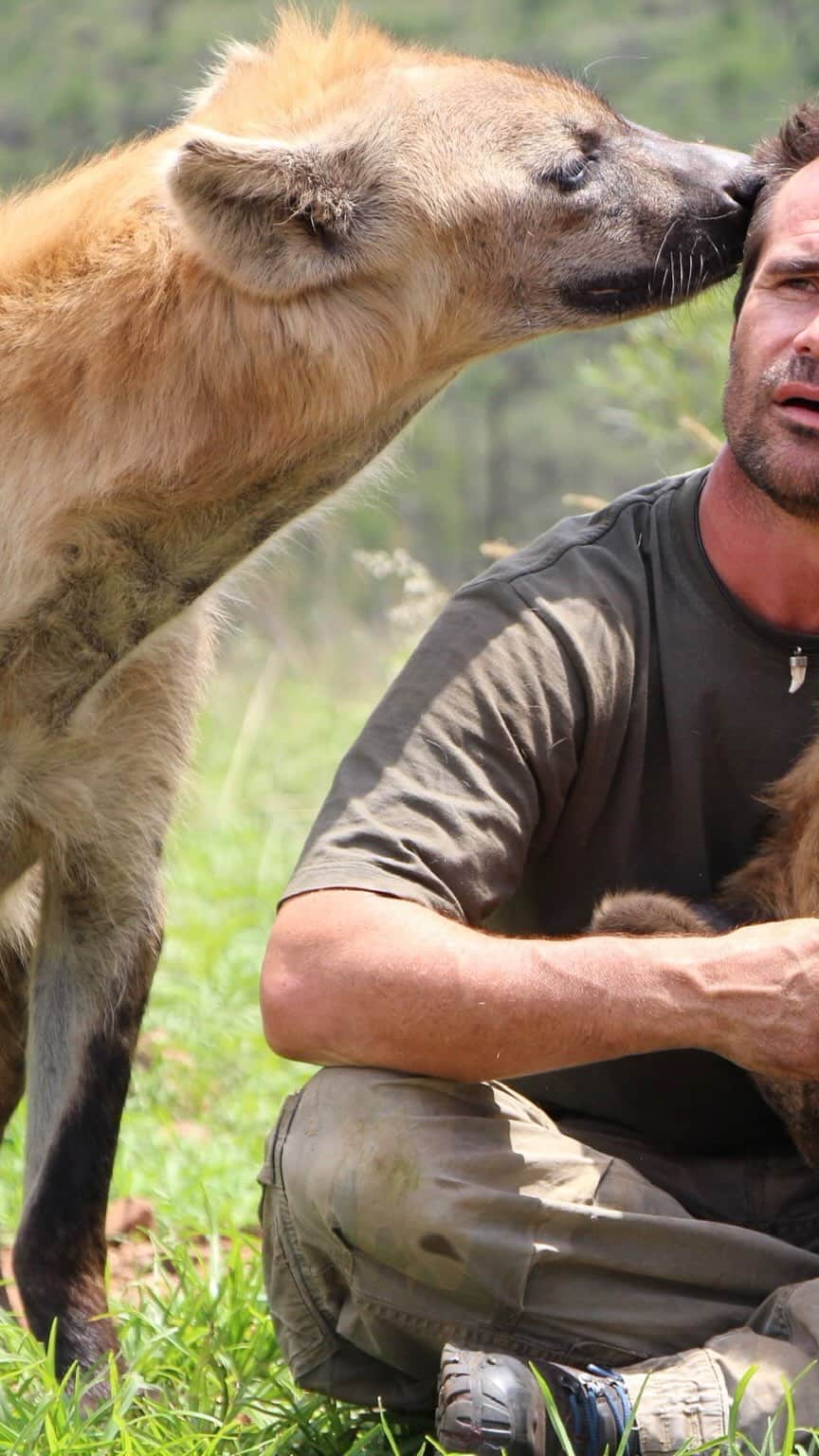 のインスタグラム：「A little hyena loving.  Who doesn’t like spotted hyenas? Stay tuned, later on today you’ll get to meet Geena’s clan on #lionwhisperertv ‘Meet the Characters’. This clan never disappoints  #hyena #spottedhyena #shoofly #animalhusbandry #animalwelfare #intelligentanimals #happyplace」