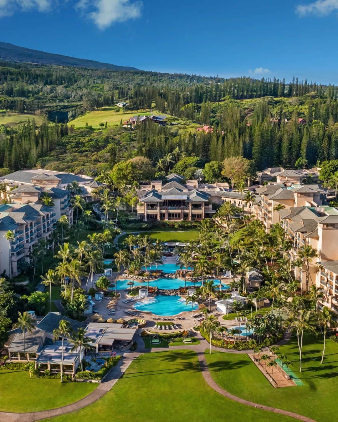 リッツ・カールトンさんのインスタグラム写真 - (リッツ・カールトンInstagram)「Island greens set the tone for the unforgettable at The Ritz Carlton Maui, #Kapalua.」4月14日 11時52分 - ritzcarlton