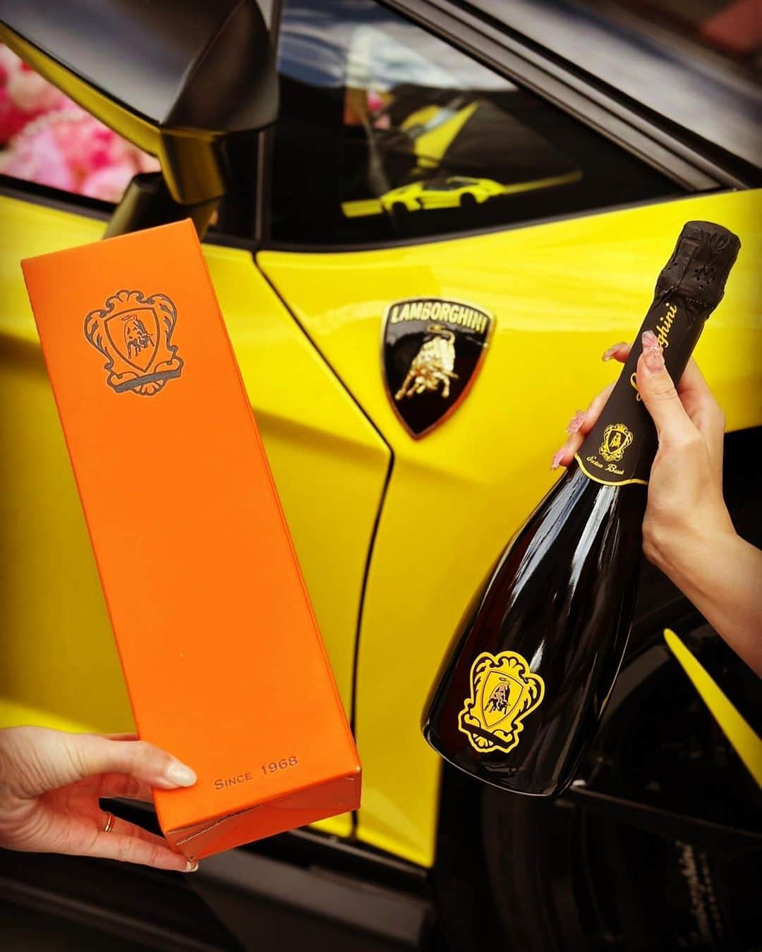 諸星伸一さんのインスタグラム写真 - (諸星伸一Instagram)「⭐️小悪魔アゲハ⭐️  happy birthday 🎂  #lamborghini #ランボルギーニシャンパン #シャンパン #スプマンテ #誕生日 #小悪魔アゲハ #ランボルギーニ #morohoshi #諸星伸一 #fightingstar #ファイティングスター #fsbk #世界最強モロックマ #世界最強諸星一家 #諸星一家 #powercraft  #tokyo #japan  小悪魔アゲハのモデルさんの誕生日会にお呼ばれしランボルギーニスプマンテをプレゼントしました🎁」4月14日 11時55分 - morohoshi7777