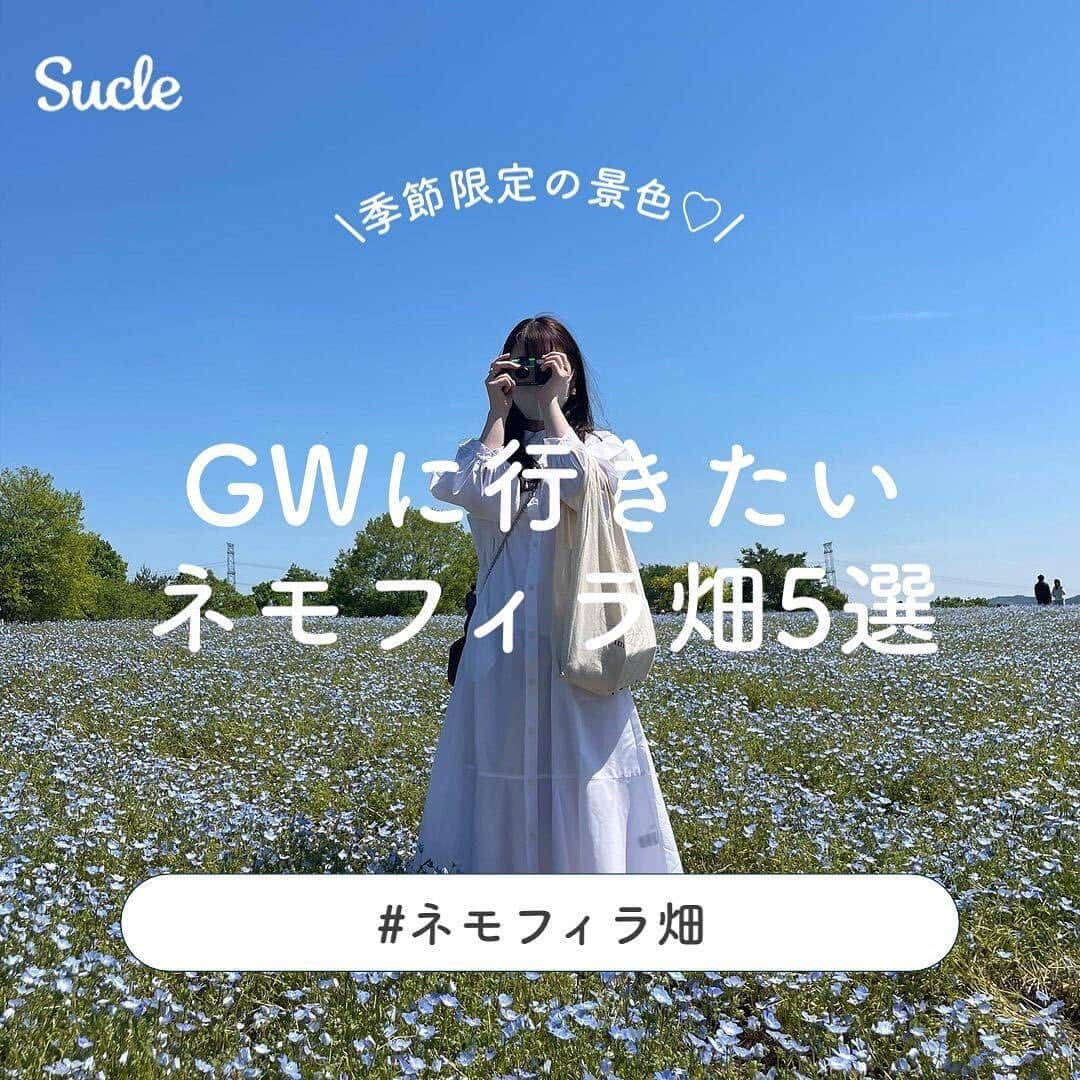 SUCLEのインスタグラム