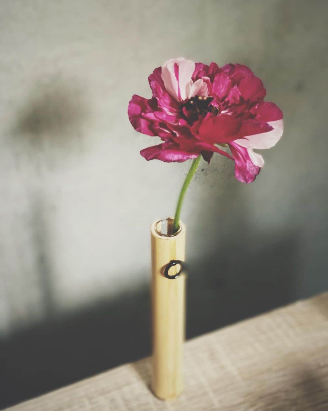 林田岬優さんのインスタグラム写真 - (林田岬優Instagram)「． New bud vase with white bamboo♡🎍」4月14日 12時46分 - miyu_hayashida