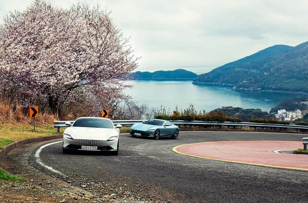 Ferrari APACさんのインスタグラム写真 - (Ferrari APACInstagram)「Soak in the tranquility of spring in the coastal county of Namhae. #FerrariRoma #LaNuovaDolceVita #Ferrari #FerrariAPAC #Korea」4月14日 13時00分 - ferrariapac