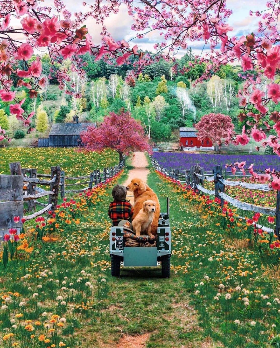 Wonderful Placesさんのインスタグラム写真 - (Wonderful PlacesInstagram)「Spring explosions in New England by ✨@kjp✨ Tag someone who needs this! 😍🙌🏼💖🌸 . 📍New England - USA  #wonderful_places for a feature 💖」4月14日 13時40分 - wonderful_places