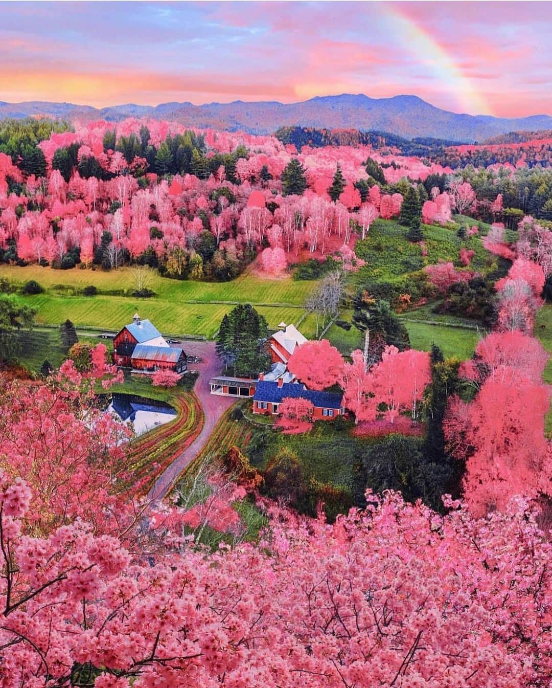 Wonderful Placesさんのインスタグラム写真 - (Wonderful PlacesInstagram)「Spring explosions in New England by ✨@kjp✨ Tag someone who needs this! 😍🙌🏼💖🌸 . 📍New England - USA  #wonderful_places for a feature 💖」4月14日 13時40分 - wonderful_places