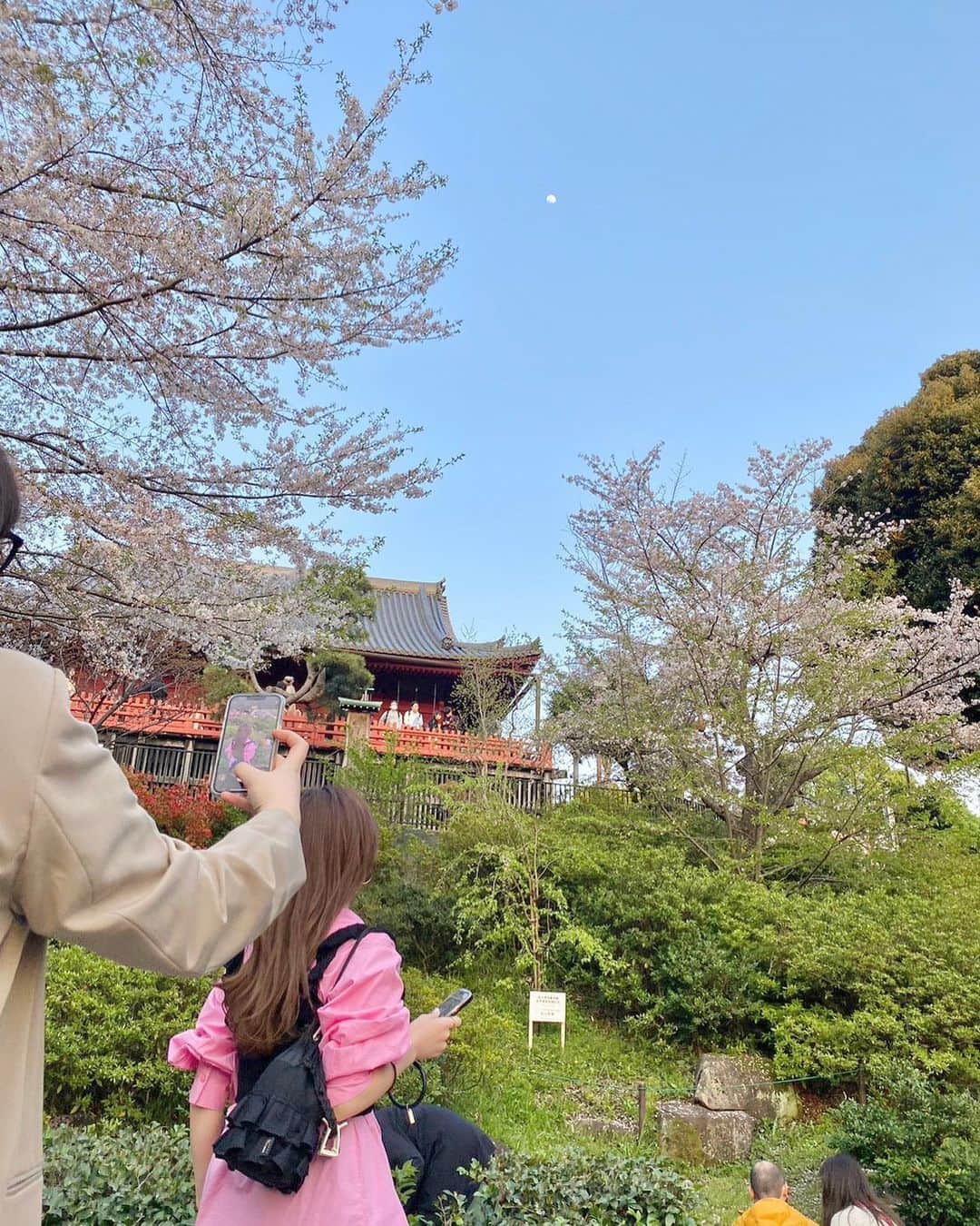 Fushimi natsukiさんのインスタグラム写真 - (Fushimi natsukiInstagram)「💕🌸💕  桜見るから、もちろんピンクコーデ💓💓💓  結局遅れる時差更新。 元同期たちと上野花見🐼 #2週間の時差更新 この日はお昼があったかくてほんとにお花見日和だった🌸  もう桜のシーズンあっという間に終わったなぁ〜〜 夏がくる〜！！ 今年はたくさんいろんなところ行きたい♡  #30代コーデ #30代ファッション #ロングヘア #ピンクコーデ #重ね着 #ビスチェ#シャツコーデ #今日のコーデ #お気に入り #ブラックコーデ#Kastane#kastane_ootd #カスタネ　#カジュアルコーデ #大人カジュアル #ふしみふく」4月14日 14時42分 - fusshan