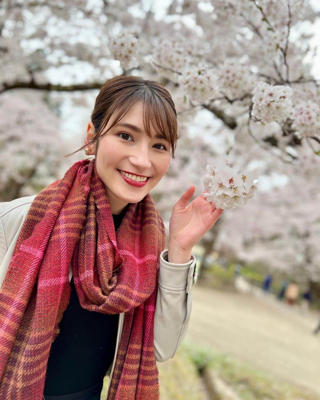 澤田愛美さんのインスタグラム写真 - (澤田愛美Instagram)「.  ハレのちあした 18時台の県内ニュースは 弘前公園桜SPECIAL🌸  弘前公園からの生中継や 様々なまつり情報をお届けします🙌  ぜひご覧下さい☺️  .   #桜 #弘前公園 #弘前さくらまつり #青森朝日放送 #ハレのちあした #中継 #アナウンサー」4月14日 14時58分 - amy____oxox