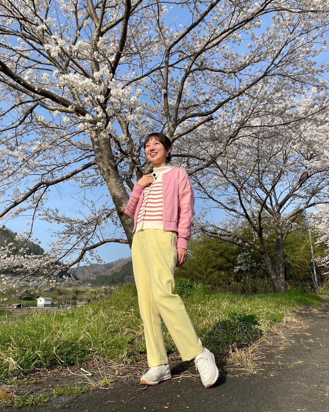 豊崎由里絵のインスタグラム：「. 4月16日（日）お昼12:29〜 テレビ大阪「発見！食遺産」に出演します🌸 桜満開の京都で　@yasulog  石田靖さんとロケでした😍！ お花見がてら、楽しかったな〜  写真２枚目は、桜の美しさにロケ中、生配信を始める石田さん。😳 そして３枚目は、取材先のごま油を 私の分まで買ってくださっている イケメン靖さん。🥹  とっても美味しいごま油に出合いましたので ぜひ見てねーっ！！ 今日もお料理に使いました✨  関西ローカルですが、 TVerでもお楽しみいただけます🍊  衣装はこちら。  ニット @vingtrois_official  ブルゾン @selectshop.dosdiosas  スタイリスト chie oshitani @stylist_franc  #へんこのごま油  #発見食遺産　#石田靖　さん」