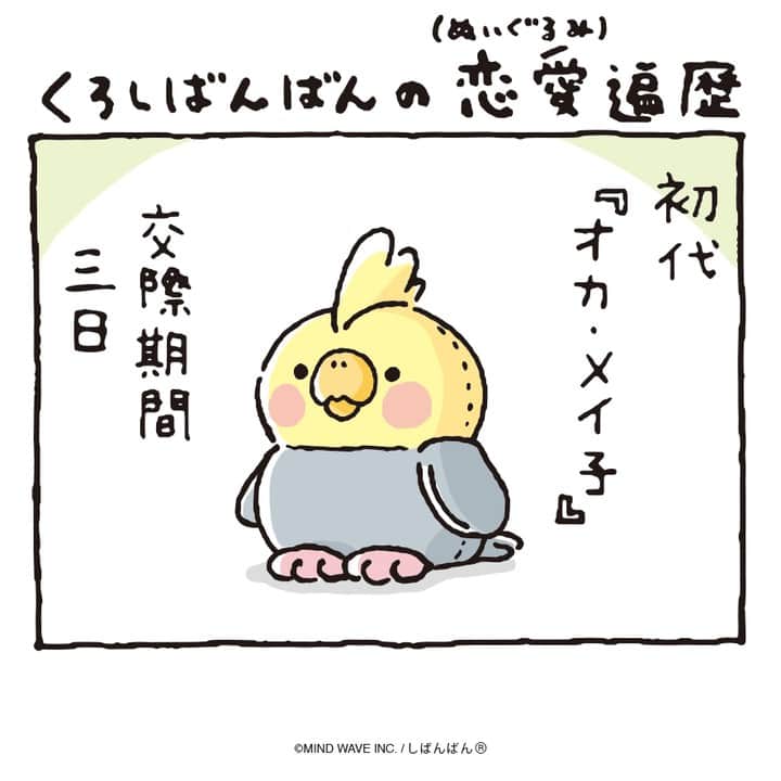 オオゴシヤステルのインスタグラム：「🟠188話🟠  くろしばんばんの 恋愛（ぬいぐるみ）遍歴  【ダイナ・ソー子の過去エピソード】 👉 #ダイナソー子   【しばんばんまんが】 👉 #しばんばんまんが  #今日のしばんばん #しばんばん #shibanban #むちころばんばん #muchicorobanban #微笑柴犬 #マインドウェイブ #mindwave #オオゴシヤステル #柴犬 #しばいぬ #sibainu #柴犬との暮らし」