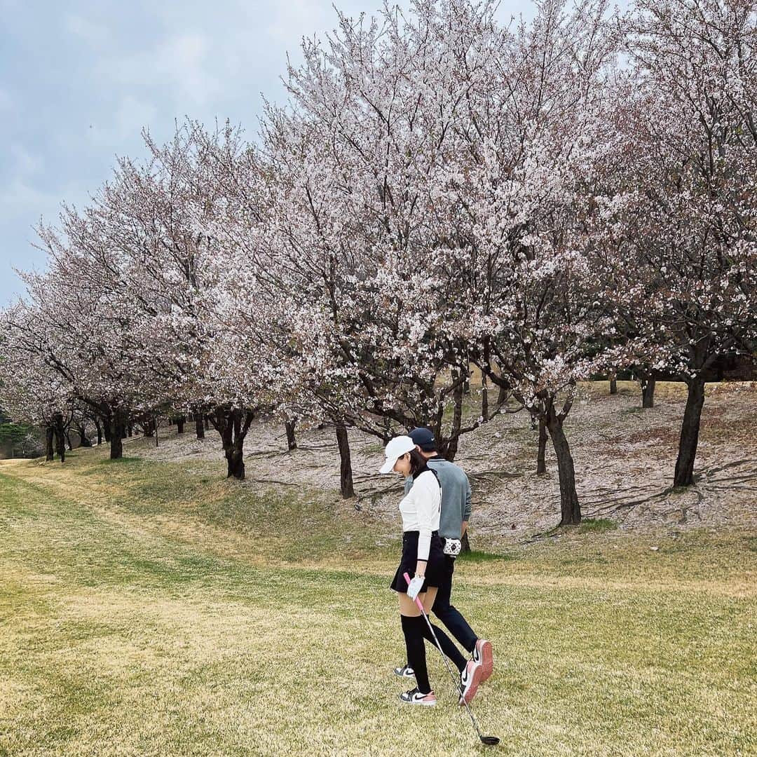 チャ・イェリョンのインスタグラム：「벚꽃 엔딩 🌸🌸🌸 지난주 다녀온 꽃구경  안녕!내년에 또 보자  꽃은 늘 사람을 기분좋게 만들어 주는 그런… 그저 마냥 보고만 있어도 좋은 꽃…🌸예쁨💕 #cherryblossoms」