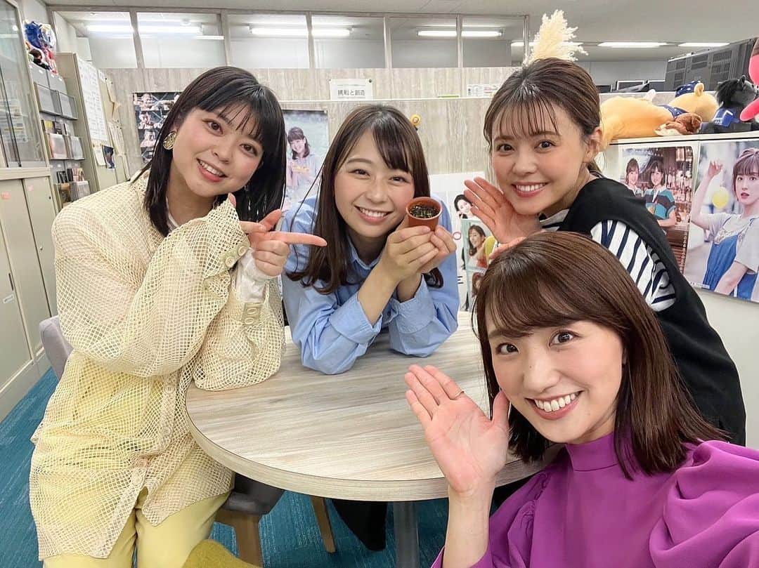 フジテレビアナウンサーのインスタグラム：「小室瑛莉子です🌻  育て始めて2ヶ月経ったモニラリア🌱  ウサギの耳らしくなってきました🐰 ピースサインにも見えるかも？✌️  ノンストップ！メンバーと 今後も温かく見守っていきます😆  #モニラリア成長日記」