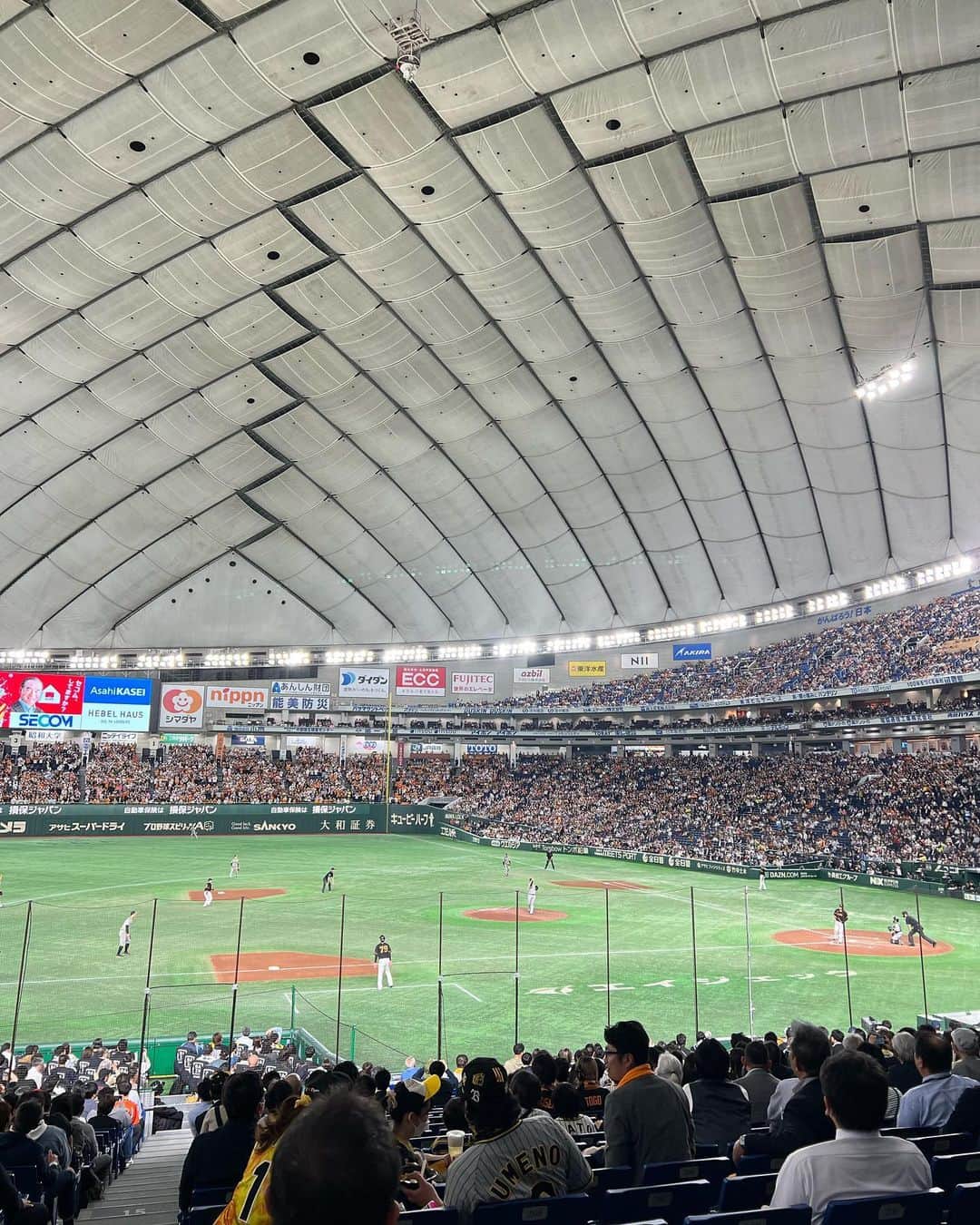 まいまいさんのインスタグラム写真 - (まいまいInstagram)「巨人vs阪神🔥⚾️ この前はじめて、 声出しOKになってからの東京ドームで 巨人vs阪神を観てきたよ😆  もう、すごかったの一言。 ビジターで阪神ファンの方が少ないのに、 応援の迫力がすごいのなんの🐯🔥 「くたばれ読売〜」とか歌もすごいな〜って 野球のプレー以外もすごく楽しめました😂  プレーの方はこの日のヒーローの オコエ選手はめちゃくちゃ打つし、 戸郷投手の投げる間合いがすごく早くてプレーファーストで せっかちな私はとても好感を持った🚀(何目線w)  今年は甲子園球場にも行ってみたい！ 欲を言えば12球場全部行ってみたいけど、 北から南まで、、なかなか大変そうだあ✈️  スポーツ観戦ってエネルギーもらえるし 楽しくてとっても好き( •̀ᴗ•́ )و💞 . #まいごるふ#ゴルフ#女子ゴルフ#ゴルフ女子#野球女子#野球観戦#プロ野球#野球好き#東京ドーム#巨人#読売ジャイアンツ#阪神タイガース#maigolf#golf#baseball#baseballseason#baseballgame#burberry#dazn#baseballfan」4月14日 17時00分 - ___maigolf___