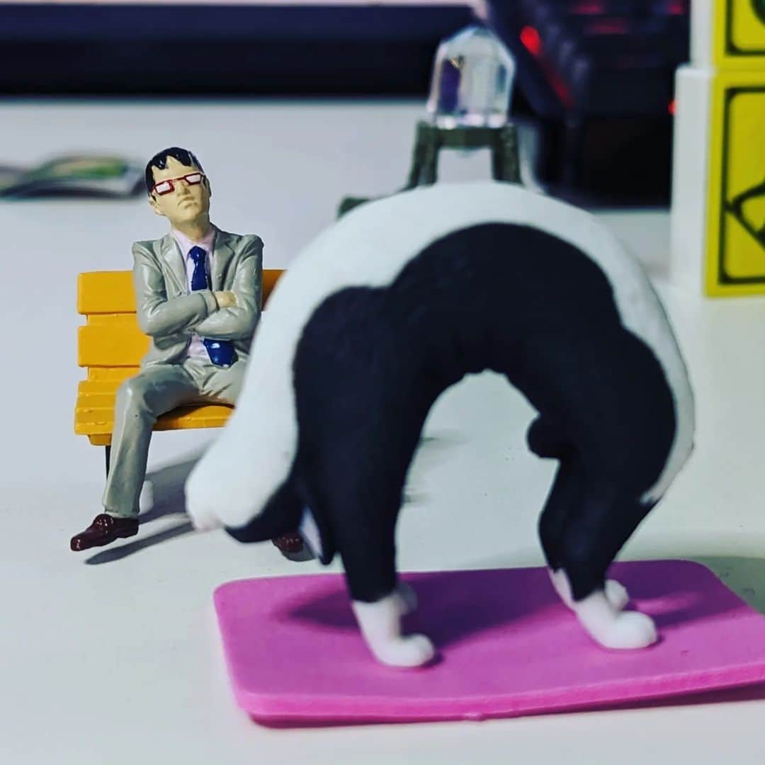MEGWINのインスタグラム：「「んーなんか違うなもっと沿ってみて、そうそう」 #おじさん #ヨガ #猫 #スポーツ #メガネ #しかめっ面」