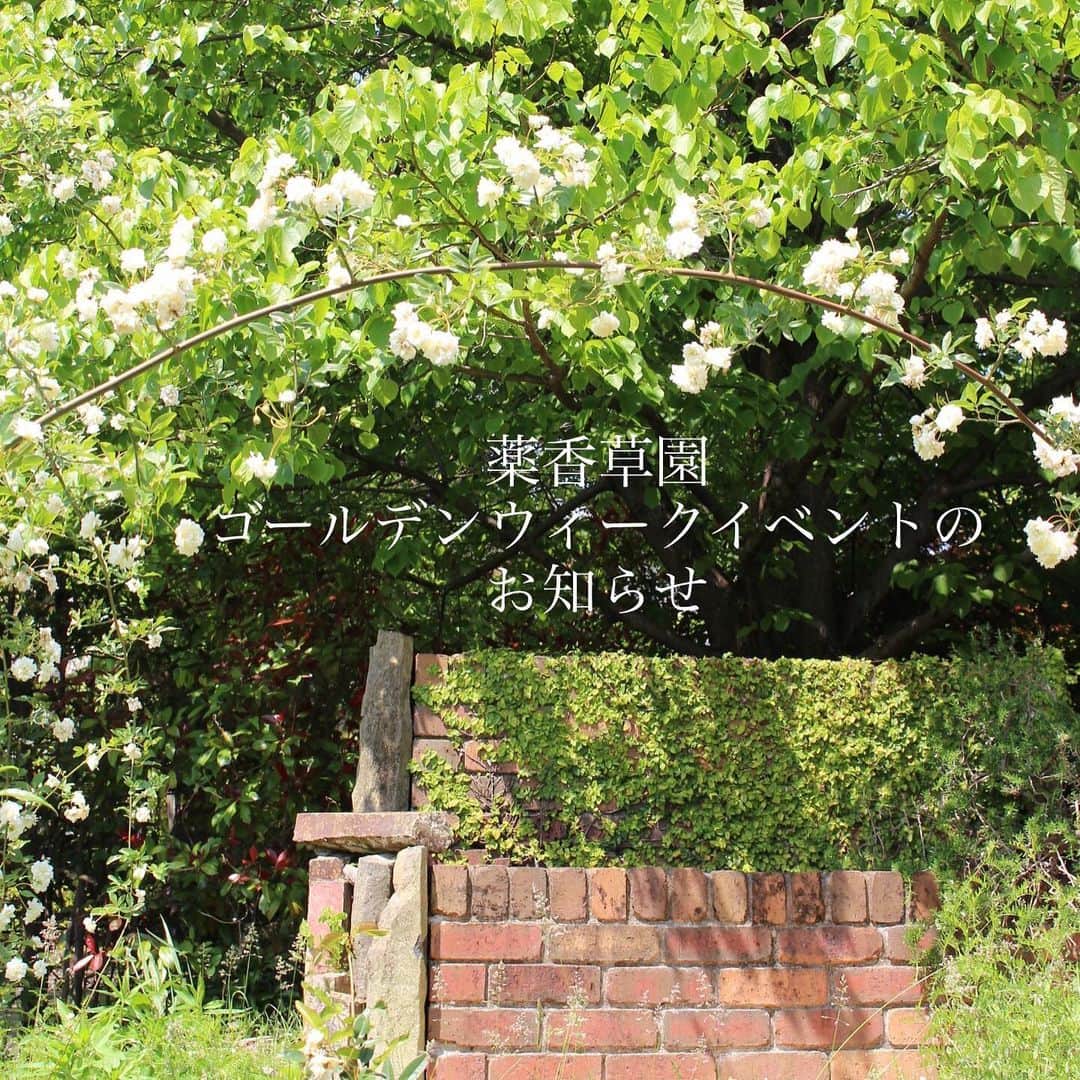 生活の木 メディカルハーブガーデン薬香草園【公式】のインスタグラム：「【ゴールデンウィークイベントのお知らせ】 4月29日（土祝）〜5月7日（日） 　※5月1日（月）は休館日 心地よい風に乗って、ハーブや草花の香りが吹き抜ける薬香草園にぜひお越しください✨ ⁡ 皆さまのご来店お待ちしております！ ⁡ 詳細はプロフィール→ホームページ→薬香草園ニュースをご覧ください ⁡ #生活の木　#薬香草園　#飯能 #gw  #ゴールデンウィーク ⁡」