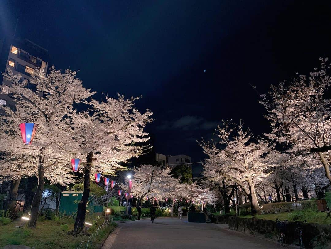 上野まなさんのインスタグラム写真 - (上野まなInstagram)「🌸🌸🌸  先日、林ももこちゃんと浅草隅田公園へ〜！  桜が満開の時に行けました☺️  夜桜もキレイだったなぁ🌸また行きたい！  #上野まな #林ももこ #浅草デート #墨田公園 #桜🌸 #東京スカイツリー #屋形船 #隅田川 #ぜんざい #おしるこ  #どっちだろう  #お餅追加しました😋 って、写真あがってなーい😂←追記」4月14日 17時08分 - managram18