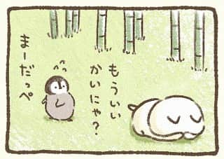 もじじのインスタグラム：「かくれんぼ  #ねこぺん日和#ねこぺん#ねこくん#ぺんちゃん#かくれんぼ#nekopen」