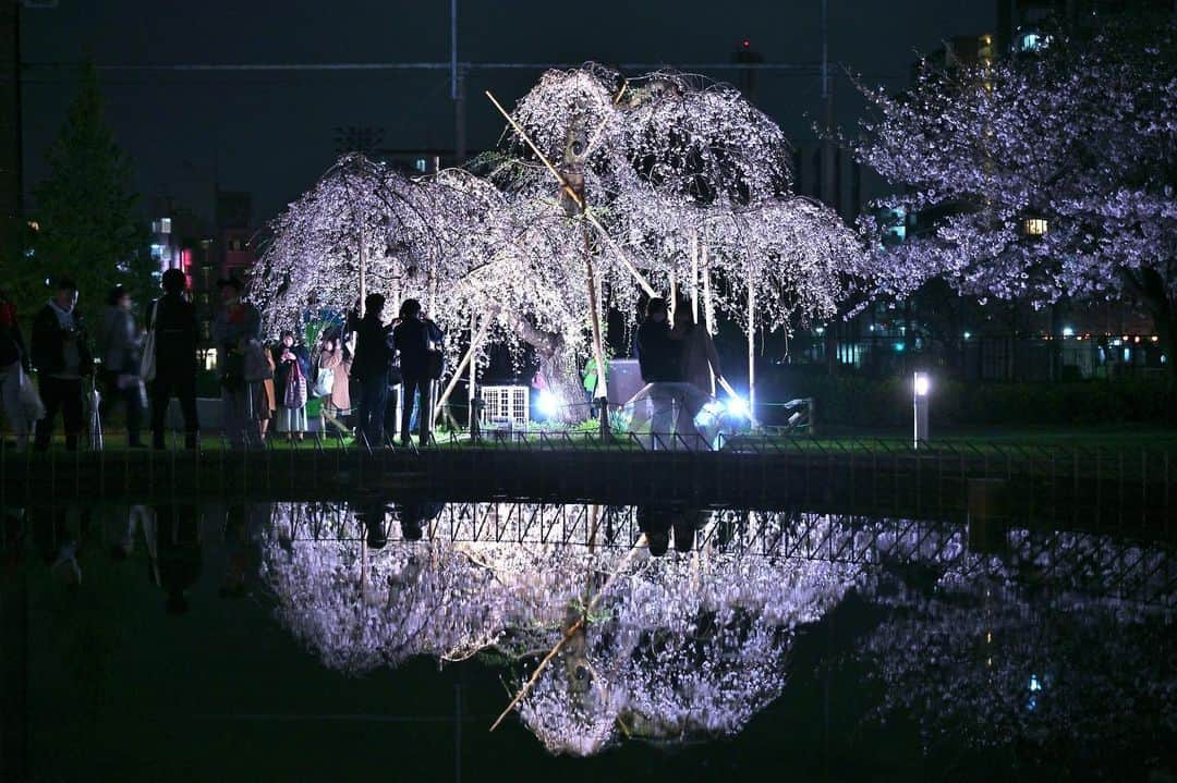 墨田区のインスタグラム