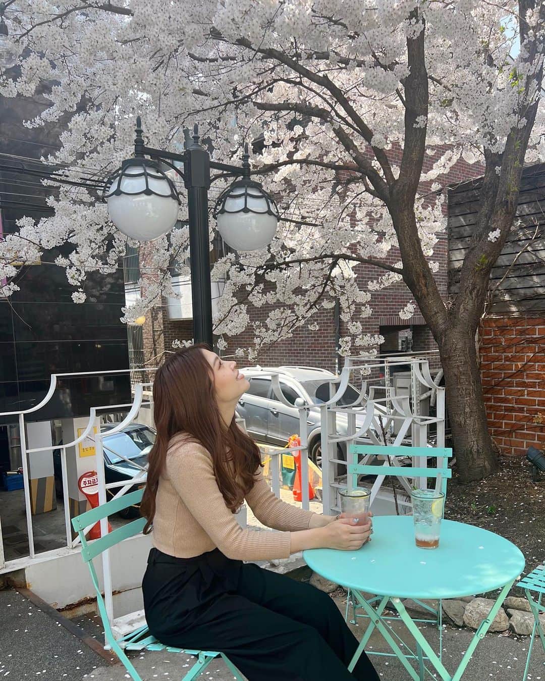 吉岡久美子さんのインスタグラム写真 - (吉岡久美子Instagram)「、 今年桜満開の期間 韓国旅行に行ってたんだけど 韓国も桜満開でめっちゃ見れた🥺🌸  ほんまに綺麗やったぁ🥺 天気もずっと良くてむしろ暑かった！  テラスのカフェ最高☺️❤️ 、 、 、 #つぼみ大革命 #つぼみ #吉本 #よしもと #アイドル #idol #大阪 #東京 #神戸 #ライブ #instagood #いいね #フォローミー #桜 #花見 #お花見 #韓国旅行」4月14日 17時29分 - kuunyaaan