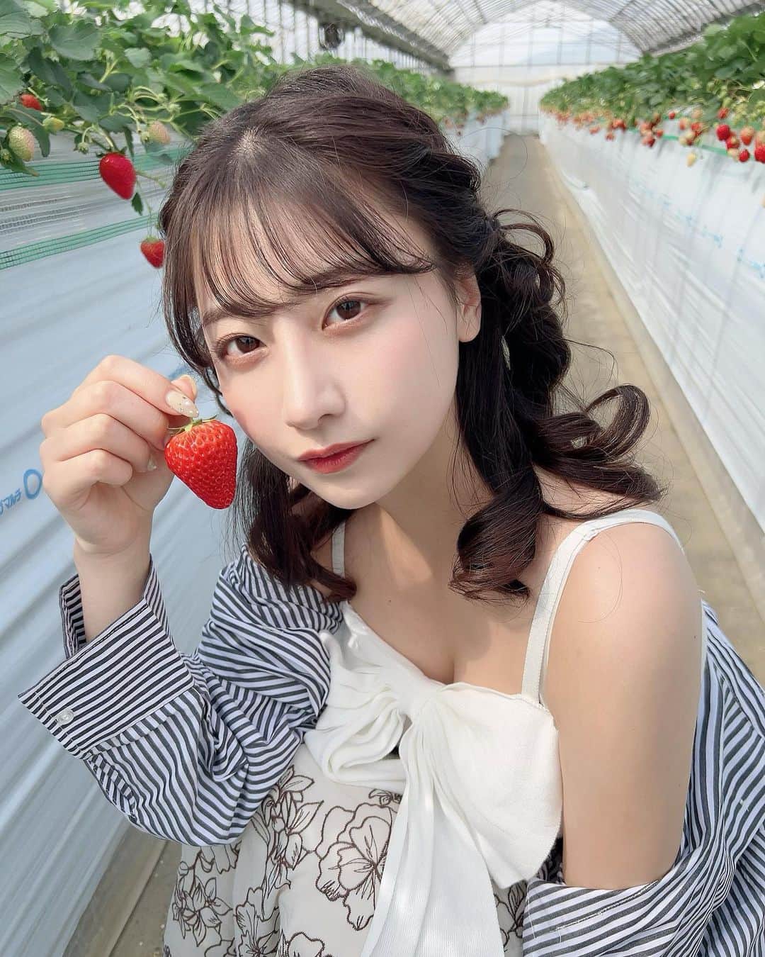 鈴木優香のインスタグラム：「いちご狩りいってきた🍓 時間なくてたべるの必死だった( ՞߹ - ߹՞ ) #いちご狩り #おみづきと」