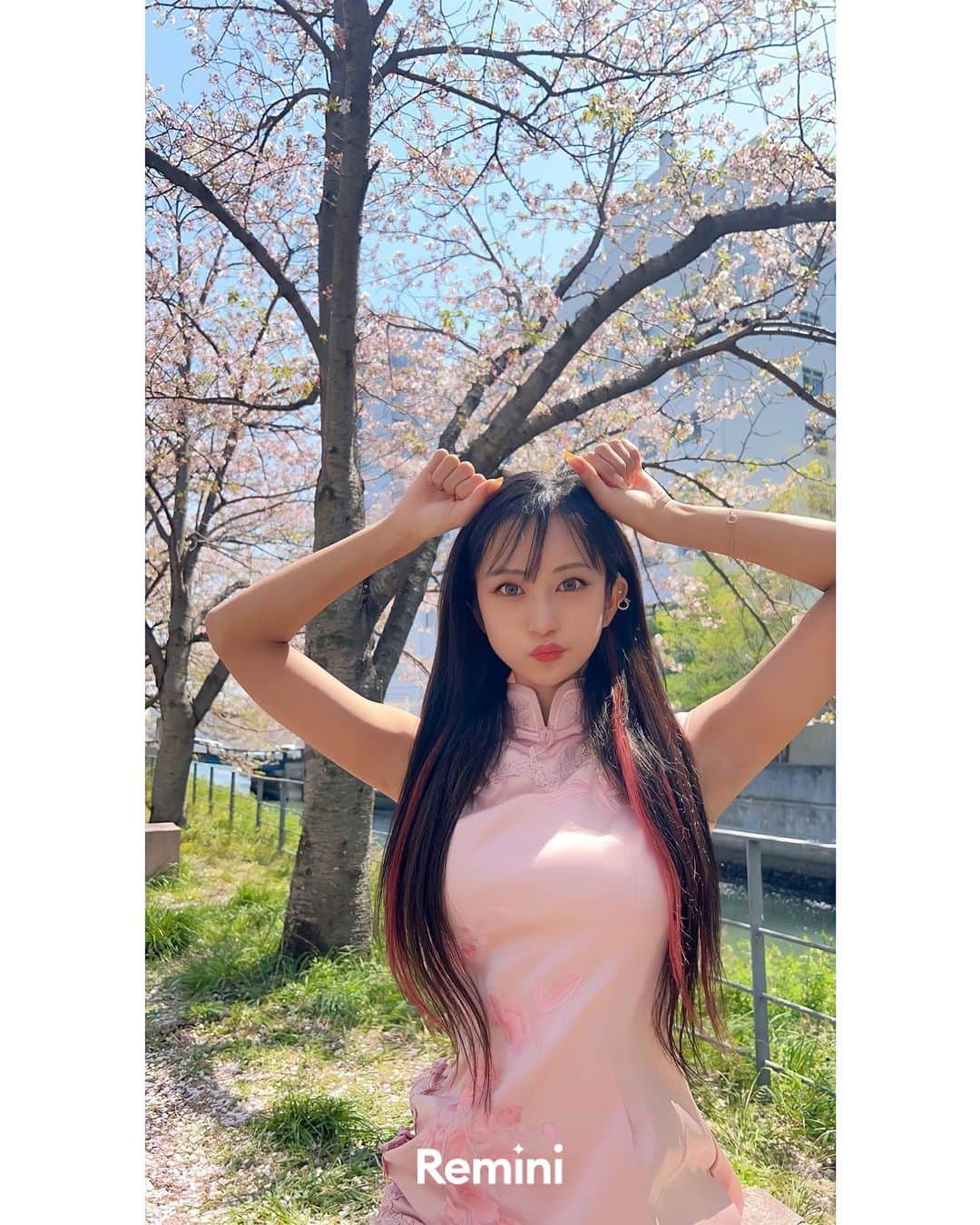 だふちゃん 。さんのインスタグラム写真 - (だふちゃん 。Instagram)「🌸 🐼  桜とドレスのピンクがいい感じ🫧  🫶🏼🫶🫶🏾  #旗袍 #チャイナドレス #謝謝」4月14日 18時04分 - a19950827a