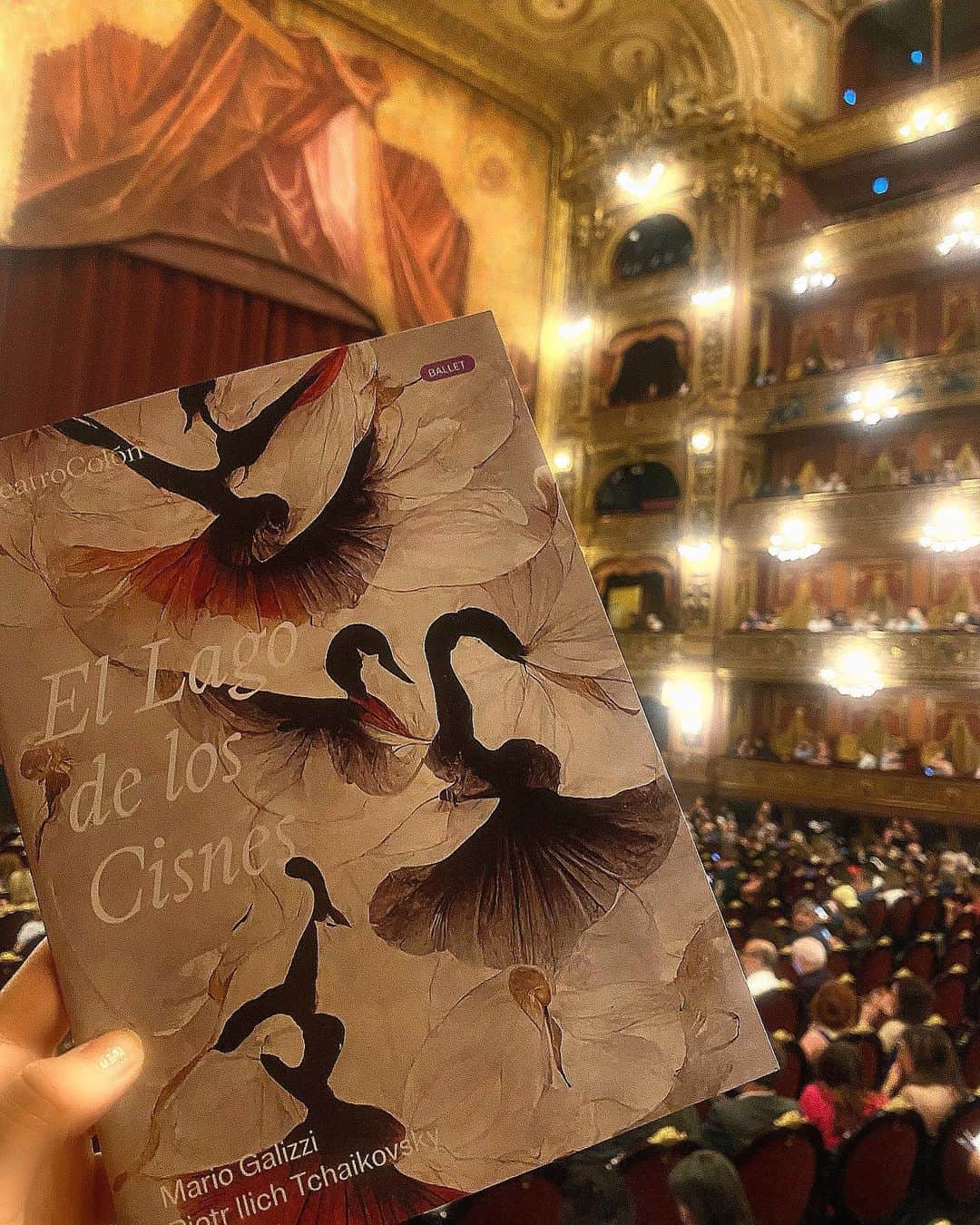 浅田舞さんのインスタグラム写真 - (浅田舞Instagram)「🩰🦢🇦🇷 ⁡ パリのオペラ座、ミラノのスカラ座に次ぐ世界三大劇場の一つ、ブエノスアイレスのコロン劇場“𝑇𝑒𝑎𝑡𝑟𝑜 𝐶𝑜𝑙𝑜𝑛”にて「白鳥の湖」を鑑賞しました。 ⁡ 幕が開き、煌びやかな世界が現れ、オーケストラの素晴らしい演奏が響き渡ると共に踊り出るダンサー。 鳥肌が立ちました。 ⁡ 儚く美しく 豪華絢爛の舞台。 夢のような時間でした。 ⁡ ⁡」4月14日 18時17分 - asadamai717