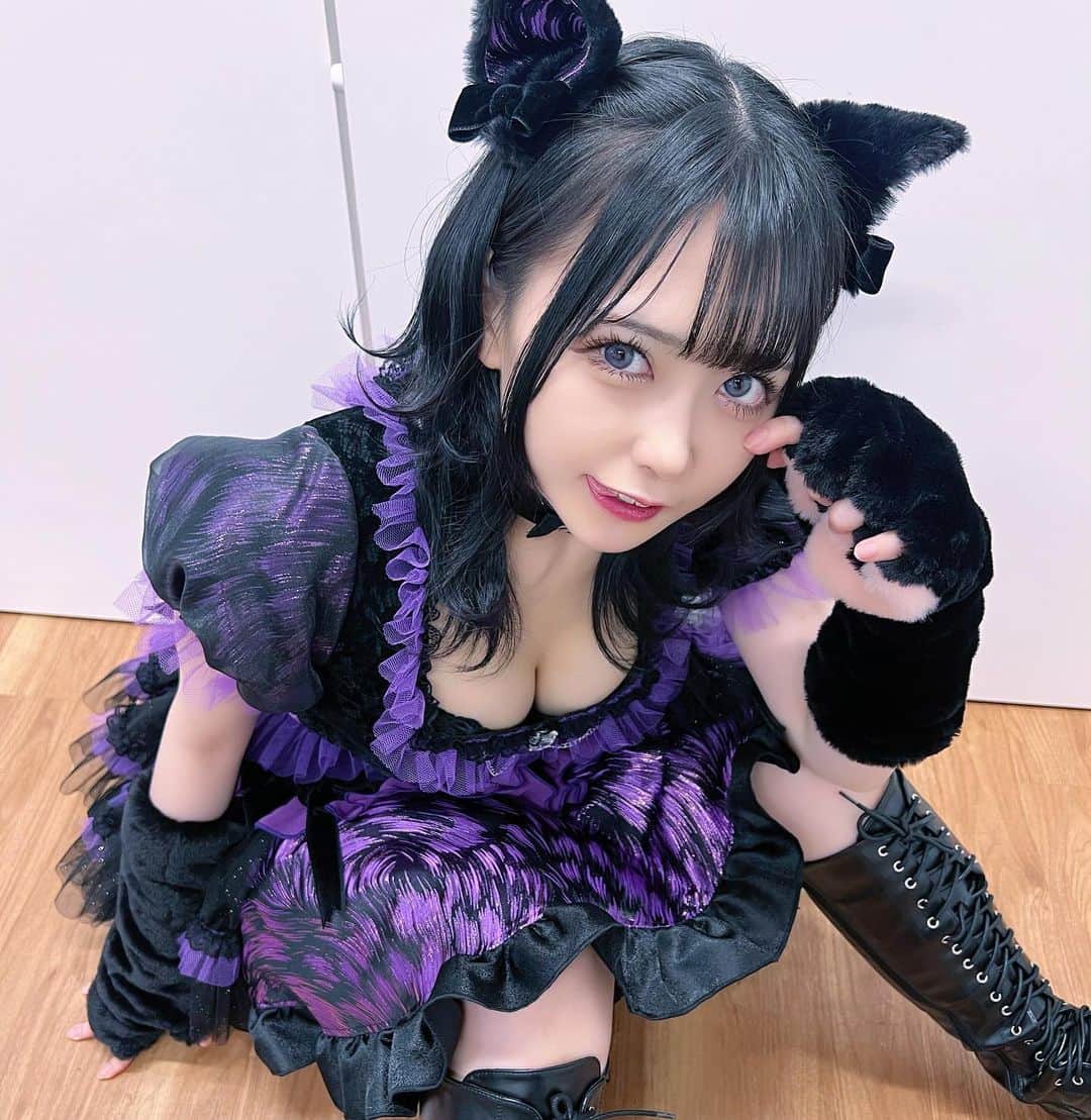 ねおきまこのインスタグラム：「にゃーに見てんだよ」