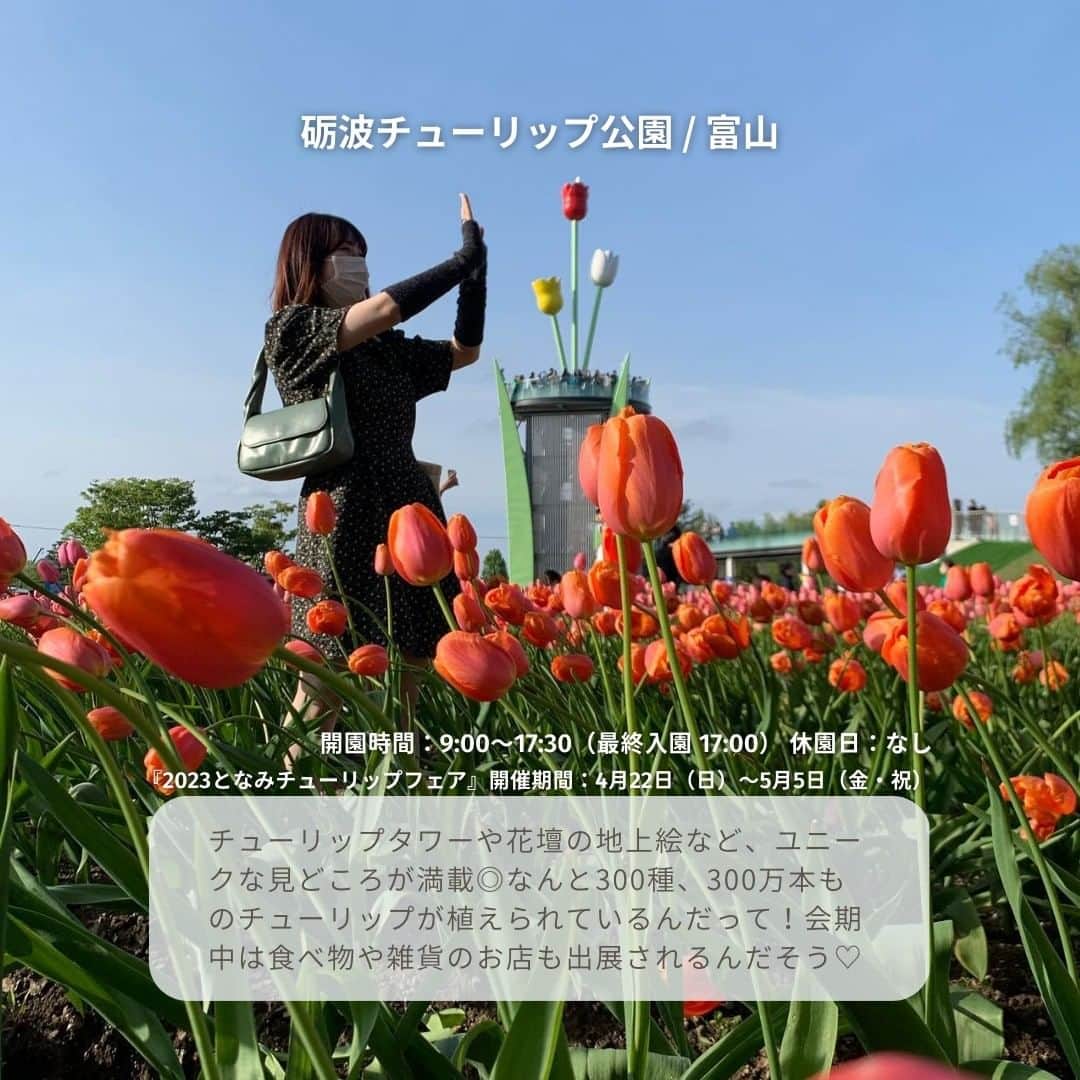isutaさんのインスタグラム写真 - (isutaInstagram)「あっという間に4月も半ば。 何かとばたばたしがちなこの時期、“春ならでは”の体験はできたかな？  週末のお出かけや気分転換のドライブを考えているなら、目的地としておすすめなのがチューリップ畑🌷  華やかな一面のチューリップを見れば、癒されると同時に気分が上がること間違いなし◎  すでに満開になっている九州から、これから見頃を迎える東北まで、全国のチューリップスポットを6つご紹介するよ！  ①おかばる花公園 / 大分  ②国営明石海峡公園 / 淡路島 @akashikaikyopark  ③砺波チューリップ公園 / 富山  ④はままつフラワーパーク / 静岡 @h_flowerpark  ➄国営昭和記念公園 / 東京 @showakinenpark  ⑥正子のチューリッぷ園 / 青森 @toriyabe_shoko  photo by @ka_ring0 @_ny02x_ @o.mana12 @maaa6na @nakky_0918 @yuki_uki_2  #isuta#isutapic#イスタ #おかばる花公園#国営明石海峡公園 #砺波チューリップ公園#はままつフラワーパーク #国営昭和記念公園#正子のチューリッぷ園 #大分観光#淡路島観光#富山観光#静岡観光 #東京観光#青森観光#チューリップ畑 #チューリップ公園#お花好きな人と繋がりたい #お花畑#お花大好き#お花好き#癒しスポット #癒しの空間#癒し時間#春を感じる#おでかけスポット #お出かけスポット#休日のすごしかた#写真映え #思い出作り」4月14日 18時19分 - isuta_jp