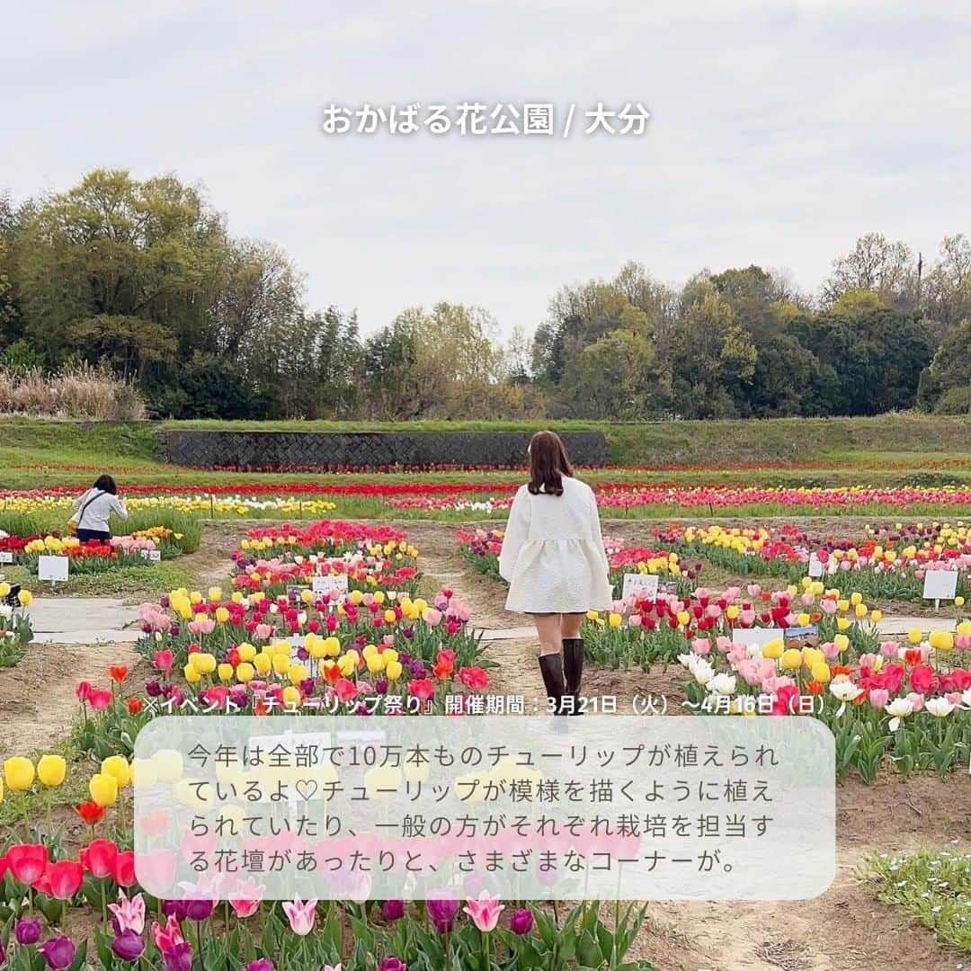isutaさんのインスタグラム写真 - (isutaInstagram)「あっという間に4月も半ば。 何かとばたばたしがちなこの時期、“春ならでは”の体験はできたかな？  週末のお出かけや気分転換のドライブを考えているなら、目的地としておすすめなのがチューリップ畑🌷  華やかな一面のチューリップを見れば、癒されると同時に気分が上がること間違いなし◎  すでに満開になっている九州から、これから見頃を迎える東北まで、全国のチューリップスポットを6つご紹介するよ！  ①おかばる花公園 / 大分  ②国営明石海峡公園 / 淡路島 @akashikaikyopark  ③砺波チューリップ公園 / 富山  ④はままつフラワーパーク / 静岡 @h_flowerpark  ➄国営昭和記念公園 / 東京 @showakinenpark  ⑥正子のチューリッぷ園 / 青森 @toriyabe_shoko  photo by @ka_ring0 @_ny02x_ @o.mana12 @maaa6na @nakky_0918 @yuki_uki_2  #isuta#isutapic#イスタ #おかばる花公園#国営明石海峡公園 #砺波チューリップ公園#はままつフラワーパーク #国営昭和記念公園#正子のチューリッぷ園 #大分観光#淡路島観光#富山観光#静岡観光 #東京観光#青森観光#チューリップ畑 #チューリップ公園#お花好きな人と繋がりたい #お花畑#お花大好き#お花好き#癒しスポット #癒しの空間#癒し時間#春を感じる#おでかけスポット #お出かけスポット#休日のすごしかた#写真映え #思い出作り」4月14日 18時19分 - isuta_jp
