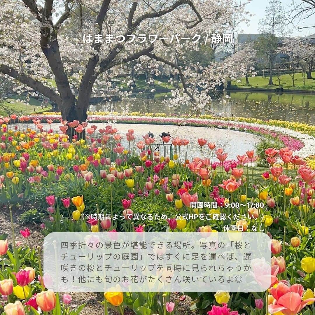 isutaさんのインスタグラム写真 - (isutaInstagram)「あっという間に4月も半ば。 何かとばたばたしがちなこの時期、“春ならでは”の体験はできたかな？  週末のお出かけや気分転換のドライブを考えているなら、目的地としておすすめなのがチューリップ畑🌷  華やかな一面のチューリップを見れば、癒されると同時に気分が上がること間違いなし◎  すでに満開になっている九州から、これから見頃を迎える東北まで、全国のチューリップスポットを6つご紹介するよ！  ①おかばる花公園 / 大分  ②国営明石海峡公園 / 淡路島 @akashikaikyopark  ③砺波チューリップ公園 / 富山  ④はままつフラワーパーク / 静岡 @h_flowerpark  ➄国営昭和記念公園 / 東京 @showakinenpark  ⑥正子のチューリッぷ園 / 青森 @toriyabe_shoko  photo by @ka_ring0 @_ny02x_ @o.mana12 @maaa6na @nakky_0918 @yuki_uki_2  #isuta#isutapic#イスタ #おかばる花公園#国営明石海峡公園 #砺波チューリップ公園#はままつフラワーパーク #国営昭和記念公園#正子のチューリッぷ園 #大分観光#淡路島観光#富山観光#静岡観光 #東京観光#青森観光#チューリップ畑 #チューリップ公園#お花好きな人と繋がりたい #お花畑#お花大好き#お花好き#癒しスポット #癒しの空間#癒し時間#春を感じる#おでかけスポット #お出かけスポット#休日のすごしかた#写真映え #思い出作り」4月14日 18時19分 - isuta_jp