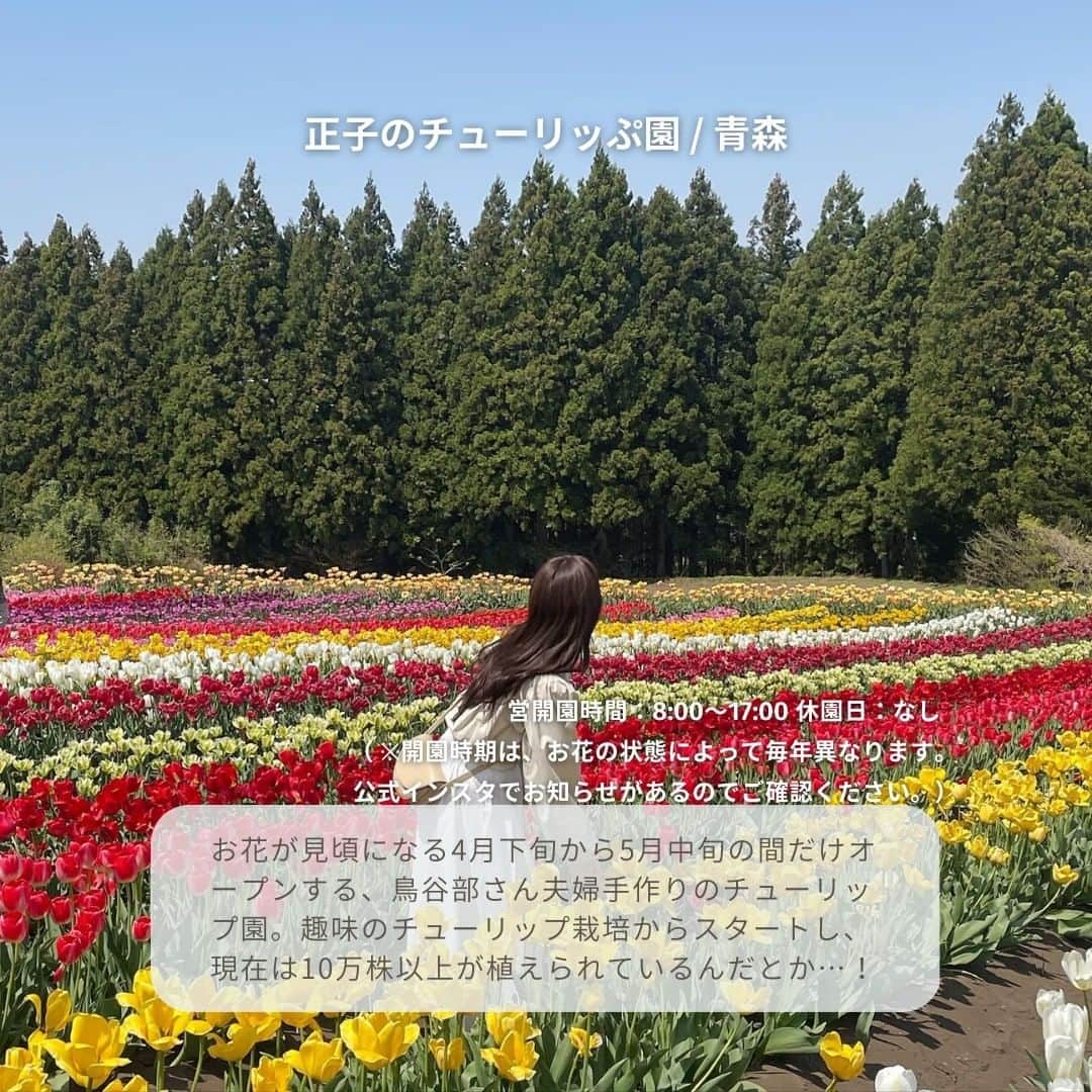 isutaさんのインスタグラム写真 - (isutaInstagram)「あっという間に4月も半ば。 何かとばたばたしがちなこの時期、“春ならでは”の体験はできたかな？  週末のお出かけや気分転換のドライブを考えているなら、目的地としておすすめなのがチューリップ畑🌷  華やかな一面のチューリップを見れば、癒されると同時に気分が上がること間違いなし◎  すでに満開になっている九州から、これから見頃を迎える東北まで、全国のチューリップスポットを6つご紹介するよ！  ①おかばる花公園 / 大分  ②国営明石海峡公園 / 淡路島 @akashikaikyopark  ③砺波チューリップ公園 / 富山  ④はままつフラワーパーク / 静岡 @h_flowerpark  ➄国営昭和記念公園 / 東京 @showakinenpark  ⑥正子のチューリッぷ園 / 青森 @toriyabe_shoko  photo by @ka_ring0 @_ny02x_ @o.mana12 @maaa6na @nakky_0918 @yuki_uki_2  #isuta#isutapic#イスタ #おかばる花公園#国営明石海峡公園 #砺波チューリップ公園#はままつフラワーパーク #国営昭和記念公園#正子のチューリッぷ園 #大分観光#淡路島観光#富山観光#静岡観光 #東京観光#青森観光#チューリップ畑 #チューリップ公園#お花好きな人と繋がりたい #お花畑#お花大好き#お花好き#癒しスポット #癒しの空間#癒し時間#春を感じる#おでかけスポット #お出かけスポット#休日のすごしかた#写真映え #思い出作り」4月14日 18時19分 - isuta_jp