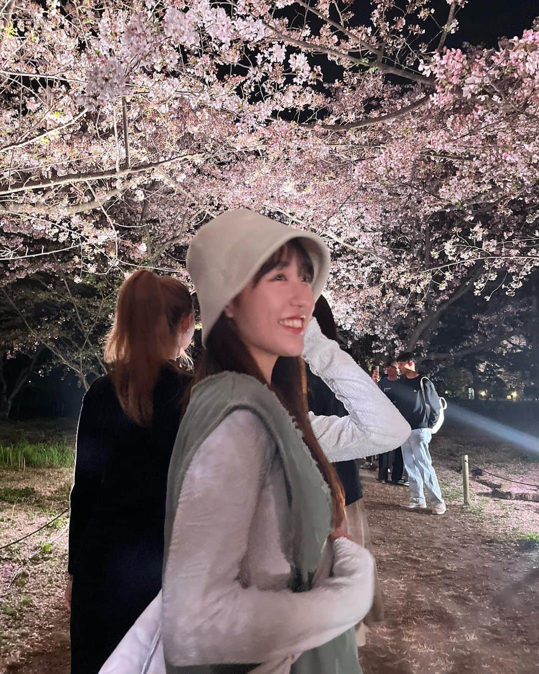 HARUのインスタグラム：「いまさら夜桜🌸」