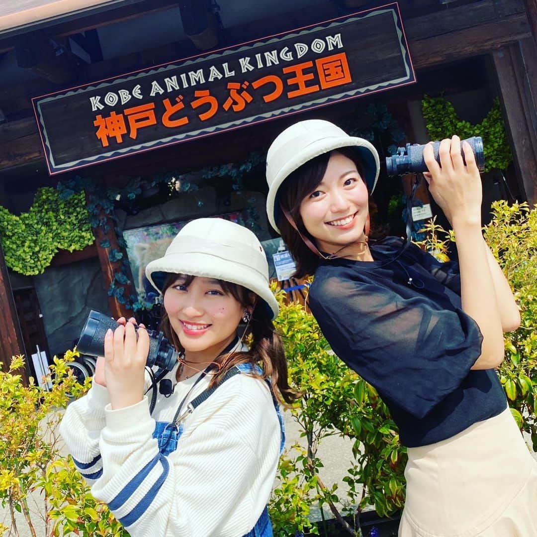 のインスタグラム：「かわいい動物にきゅんです🫰😍 #神戸どうぶつ王国#飼育員さん#オススメ#かわいすぎる#動物#アニマル #なないろリサーチ #4月15日放送  #おは土#おはよう朝日土曜日です#ABCテレビ #斎藤真美#ABCアナウンサー #堀くるみ」