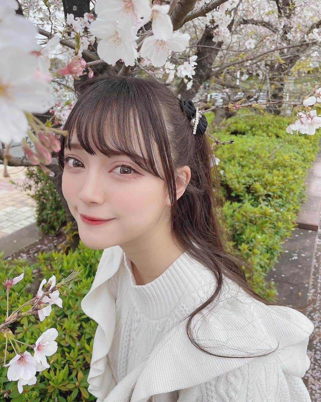 坂本理紗のインスタグラム：「桜は葉桜にほとんどなっちゃってるけど葉桜も好きなんだよねぇ、 ・ ・ ・  #桜  #桜スポット  #新木場  #ハーフツイン  #ツインテールアレンジ  #地下アイドル  #アイドル  #ニット  #ニットコーデ  #フレンチガーリー  #クウォーター  #今日好き  #地雷系女子 #ホワイトコーデ」