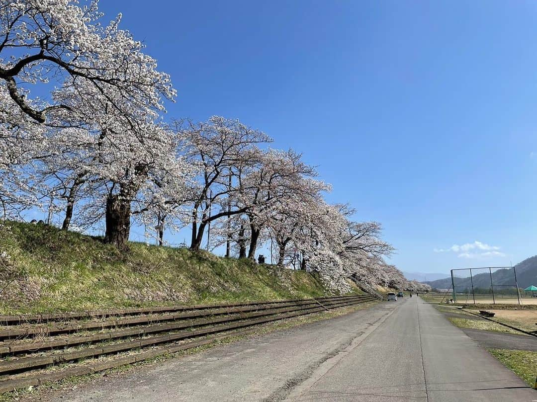 山口茜のインスタグラム：「.. 7年。 穏やかに。」