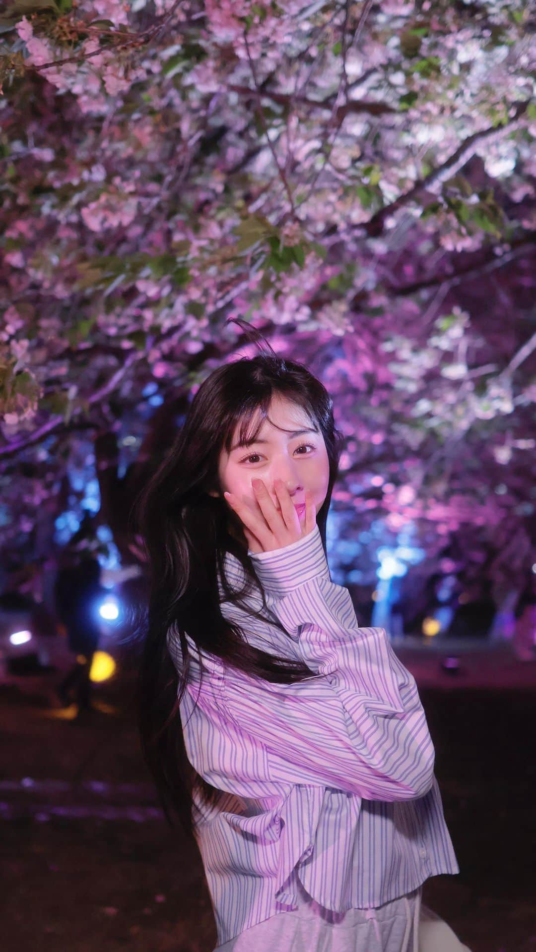 加藤美南のインスタグラム：「夜の公園ライトアップされてるの超好きだ🤭💕  #新宿御苑 #ライトアップ #夜桜」