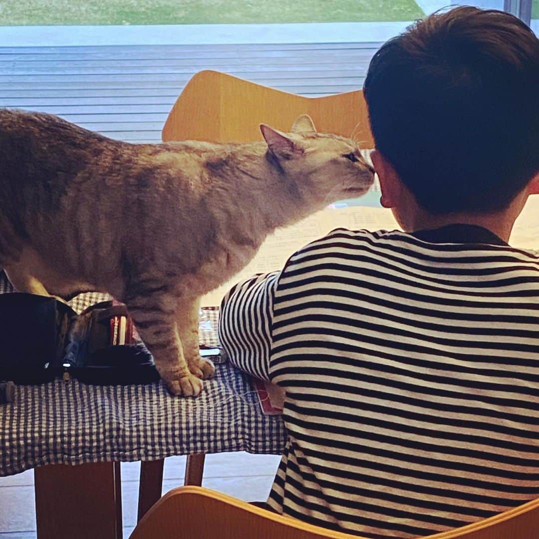 板谷由夏 のインスタグラム：「帰宅した次男が、新学期、塾、習い事 不在しがちな母、寝不足などなど まあ、色々溜まっていたのか、泣いた。 ハグしたら落ち着いたけど、そのあとメイが 駆け寄ってキスしてた。 ありがとう、メイ。 助かるよ。 春は慣れないことで疲れちゃうかもね。 みなさんも無理なくね。」