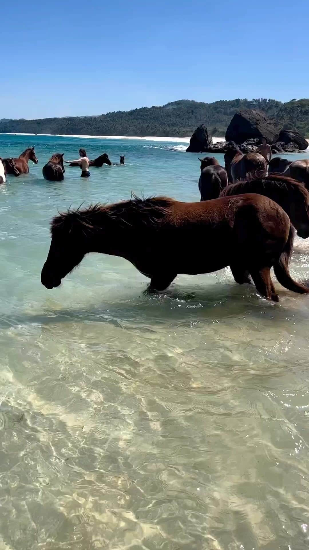 ブリトニー・スピアーズのインスタグラム：「I choose horses over people these days 🐴  🎥: @dianaaroundtheworld」