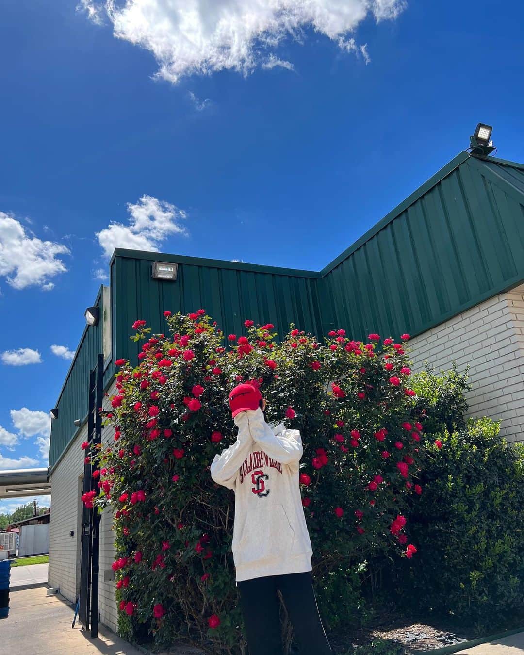 ロンジュンのインスタグラム：「🌹」