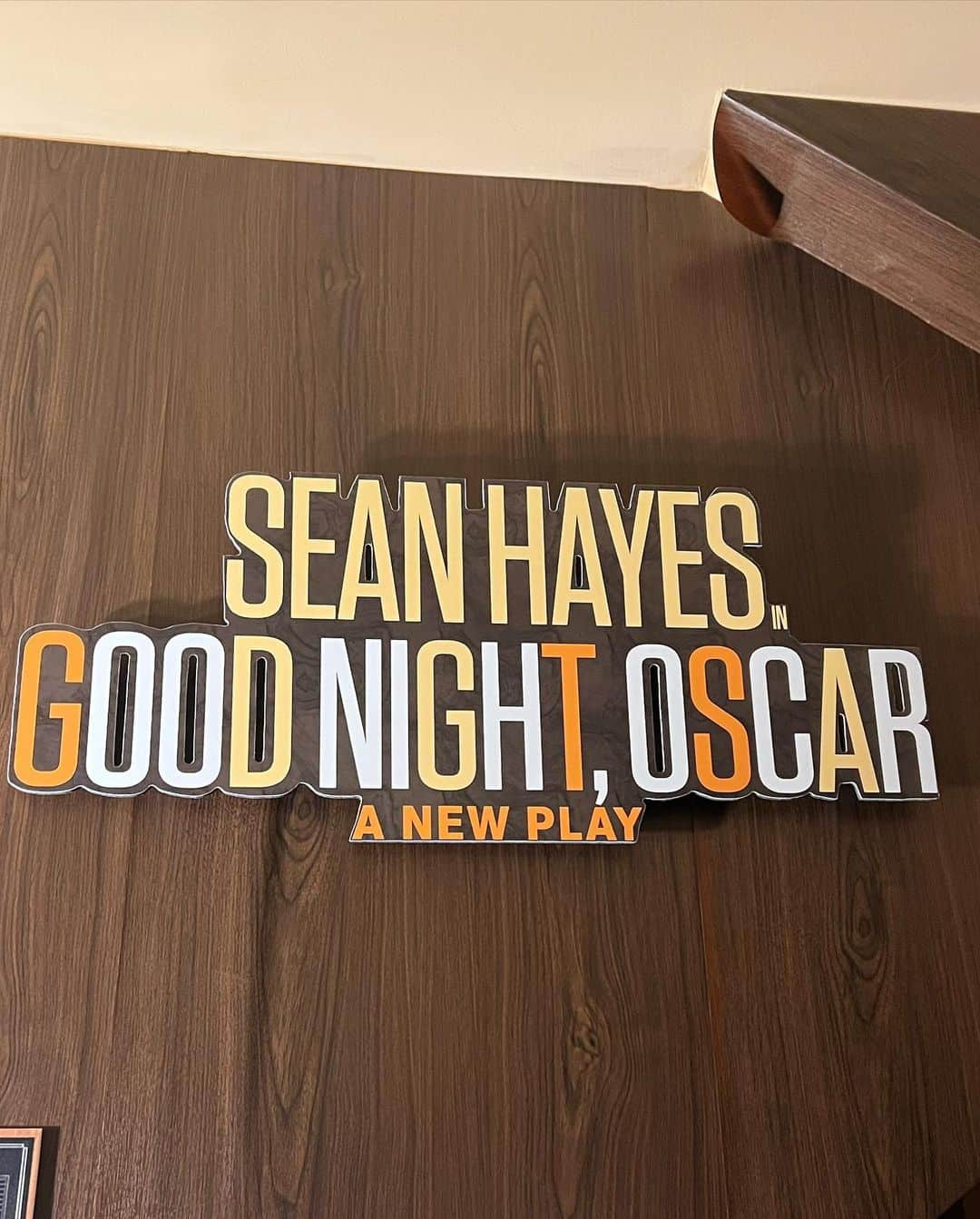 メリッサ・マッカーシーさんのインスタグラム写真 - (メリッサ・マッカーシーInstagram)「@seanhayes you are MAGIC 🌟✨ I cannot stop talking to anyone and everyone about how incredible Good Night, Oscar is — currently figuring out how to come weekly without seeming crazy?! 💕🎉🌟 Congrats!」4月15日 5時46分 - melissamccarthy