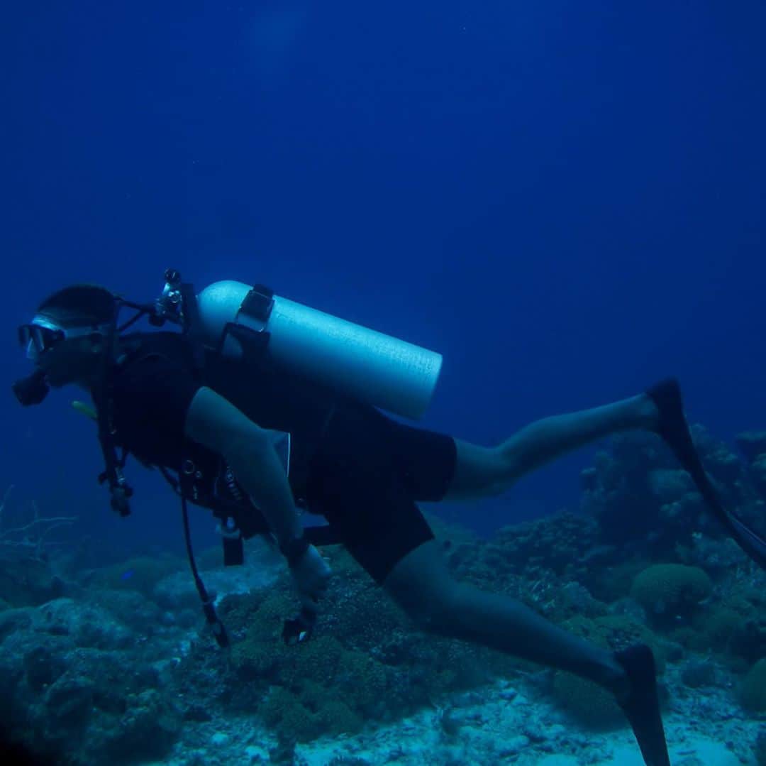 ディディ・グレゴリウスさんのインスタグラム写真 - (ディディ・グレゴリウスInstagram)「Well looking for 🪪  Backyard diving」4月17日 6時05分 - sirdidig18