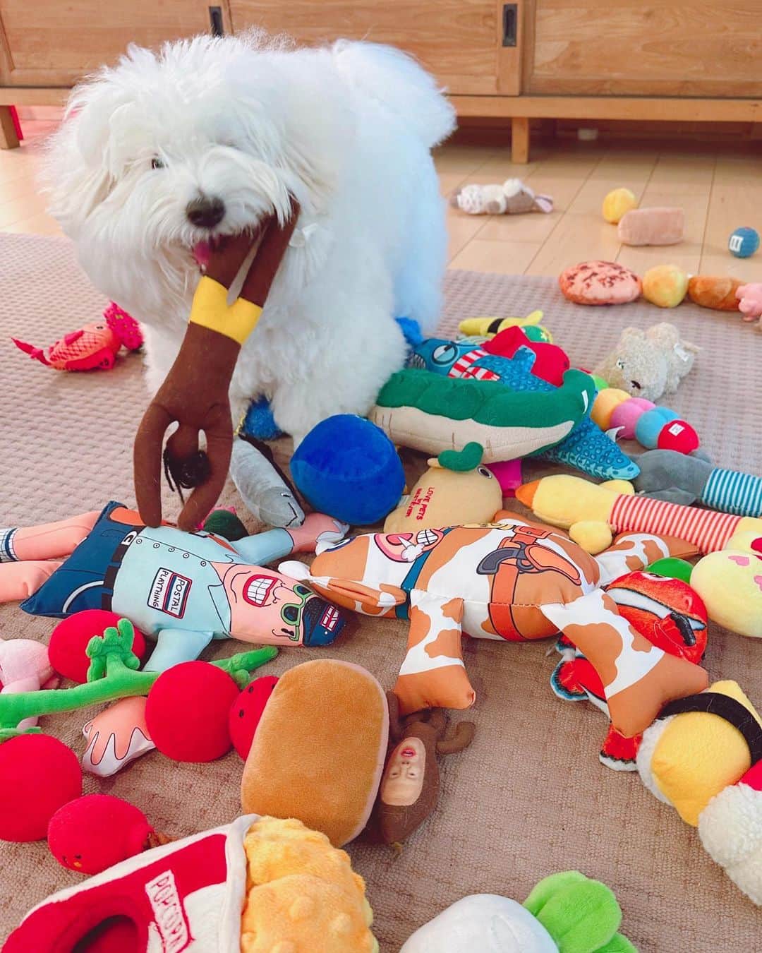 チョンダヨン（Jungdayeon）さんのインスタグラム写真 - (チョンダヨン（Jungdayeon）Instagram)「신나신나🎶  #puppylove #FUNKY#인형놀이 #petstagram」4月14日 20時56分 - jungdayeon