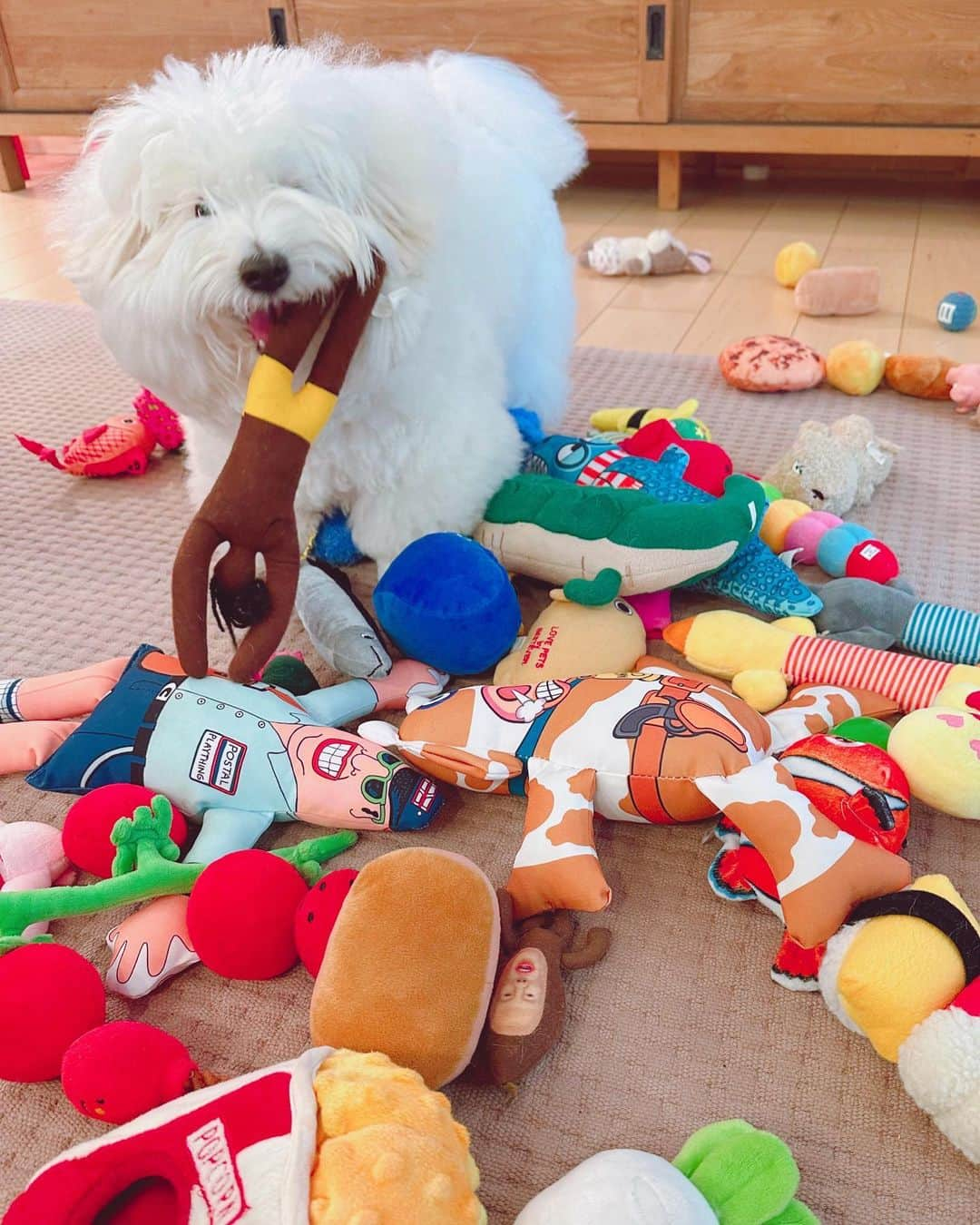 チョンダヨン（Jungdayeon）のインスタグラム：「신나신나🎶  #puppylove #FUNKY#인형놀이 #petstagram」