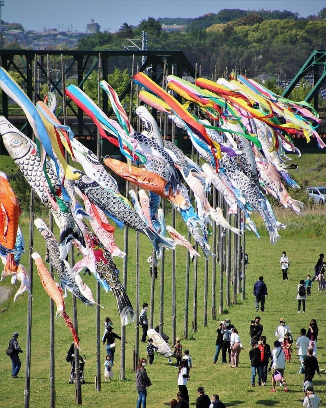 Birthplace of TONKOTSU Ramen "Birthplace of Tonkotsu ramen" Fukuoka, JAPANのインスタグラム：「What Are Those Countless Carps? The Japanese Tradition of Koinobori🎏✨ In Japan, May 5 is a national holiday called Children's Day. Around this time, banners in the shape of carp, called koinobori, are displayed in gardens and balconies of every house around the city.🎏 This custom, dating back to the middle of the Edo period (1603 - 1867), is a prayer for the healthy growth of boys and represents the wish for them to grow up to be strong and admirable like a carp that can survive in a raging river.✨  Every year from mid-April to mid-May, around 150 impressive koinobori can be seen decorating the river banks (Nakama City area) of the Onga River in the Nakama City area, which flows north through the eastern part of the prefecture! Furthermore, Onga River is also a place where you can enjoy seasonal flowers such as nanohana blossoms in spring and cosmos in autumn☺  ------------------------- Photo 📷 : @yone_sakurajima2 FOLLOW @goodvibes_fukuoka for more ! -------------------------  #fukuoka #fukuokajapan #japaneseculture #japanesefestival #kyushu #kyushutrip #japan #explorejapan #instajapan #visitjapan #japantrip #japantravel #japangram #japanexperience #beautifuljapan #travelgram #tripstagram #travelgraphy #travelphoto #travelpic #tripgram #japanlovers #visitjapanjp #japannature」