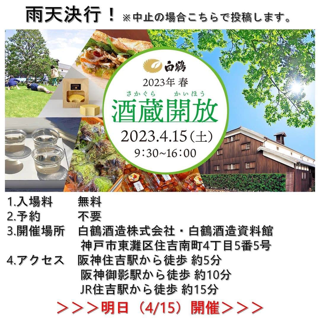 白鶴酒造株式会社のインスタグラム：「【明日は#酒蔵開放です】 お天気が怪しいですが、準備万端、開催予定です📣 屋外の飲食スペース（スタンド形式）は、テント下にテーブルをセッティングしています。 3年半ぶりに、みなさんにお会いできるのを社員一同、楽しみにしています！  ※子供専用芝生開放は、芝生の状態により中止になる可能性があります。 ※荒天で中止となる場合は、公式HP・SNSでお知らせします。  <酒蔵開放> 日時　4/15(土)　9:30～16:00（雨天決行・荒天中止） 場所　白鶴酒造株式会社（神戸市東灘区住吉南町4－5－5） 入場無料  ▼白鶴2023年 春 酒蔵開放 https://www.hakutsuru.co.jp/corporate/news/detail/20230131163139.html  #日本酒 #白鶴 #hakutsuru #sake」