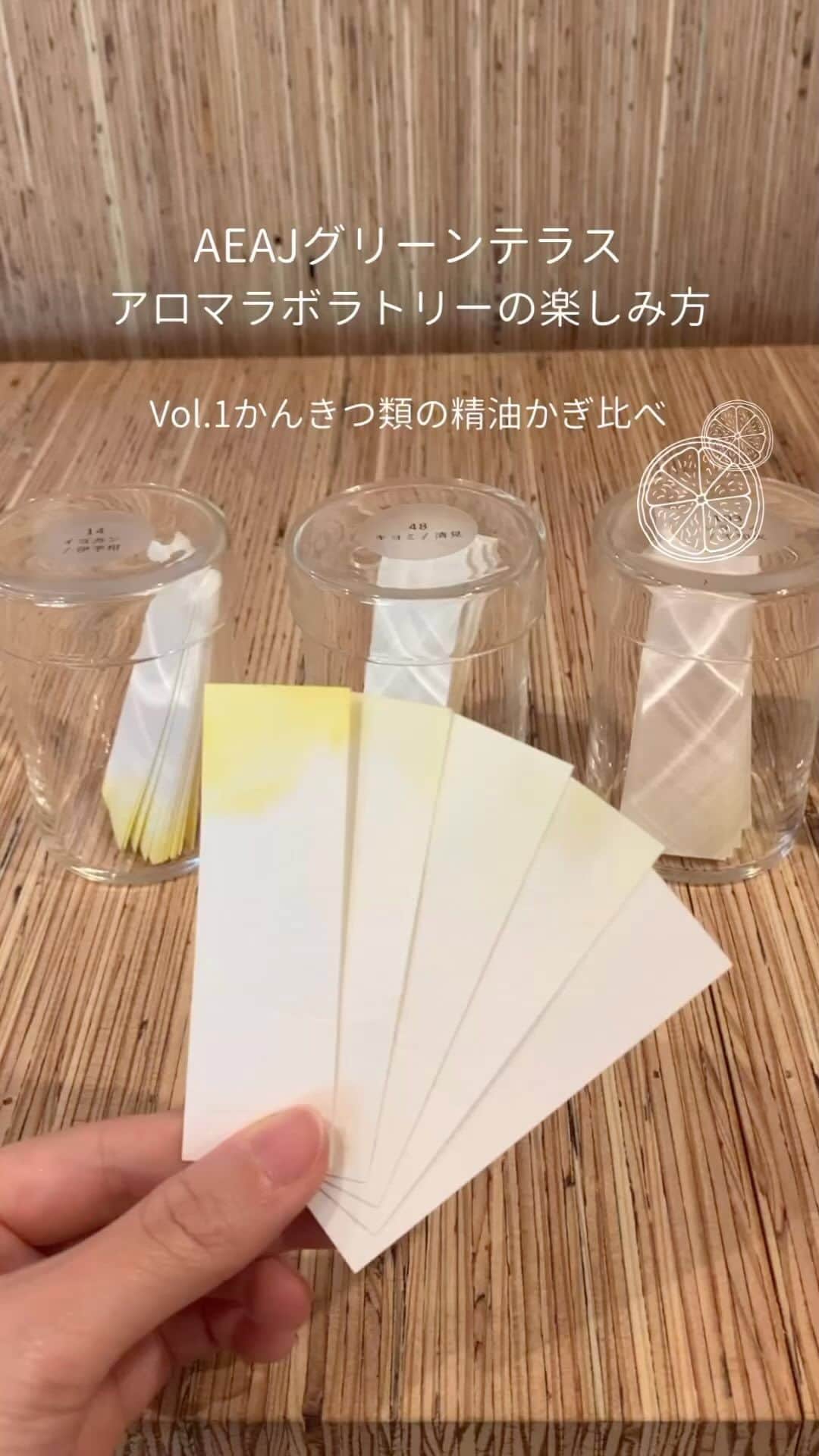 日本アロマ環境協会(AEAJ)のインスタグラム：「AEAJグリーンテラス  アロマラボラトリーの楽しみ方 〜Vol.1 かんきつ類の精油かぎ比べ〜  アロマラボラトリーでは 最大約300種類の精油をご用意。 かんきつ類の精油だけでも約30種類ございます。  気になったかんきつ類の精油をピックアップ 色もそれぞれ違いますね。  No.14  イヨカン/伊予柑 No.48  キヨミ/清見 No.103  シラヌイ/不知火 No.106  スイートオレンジ No.144  トサポンカン/土佐ポンカン  果実そのものを思わせる香りや、 少しグリーンを感じる精油も。 AEAJグリーンテラスへお越しの際は 精油をかぎ比べてみてくださいね！  お気に入りの香りはムエットでお持ち帰りいただけます。 ※一部精油のみ  #AEAJ #aroma #アロマ #アロマテラピー #aeajグリーンテラス #グリーンテラス #建築 #アロマラボラトリー #アロマラボラトリーの楽しみ方 #精油 #香り #エッセンシャルオイル」