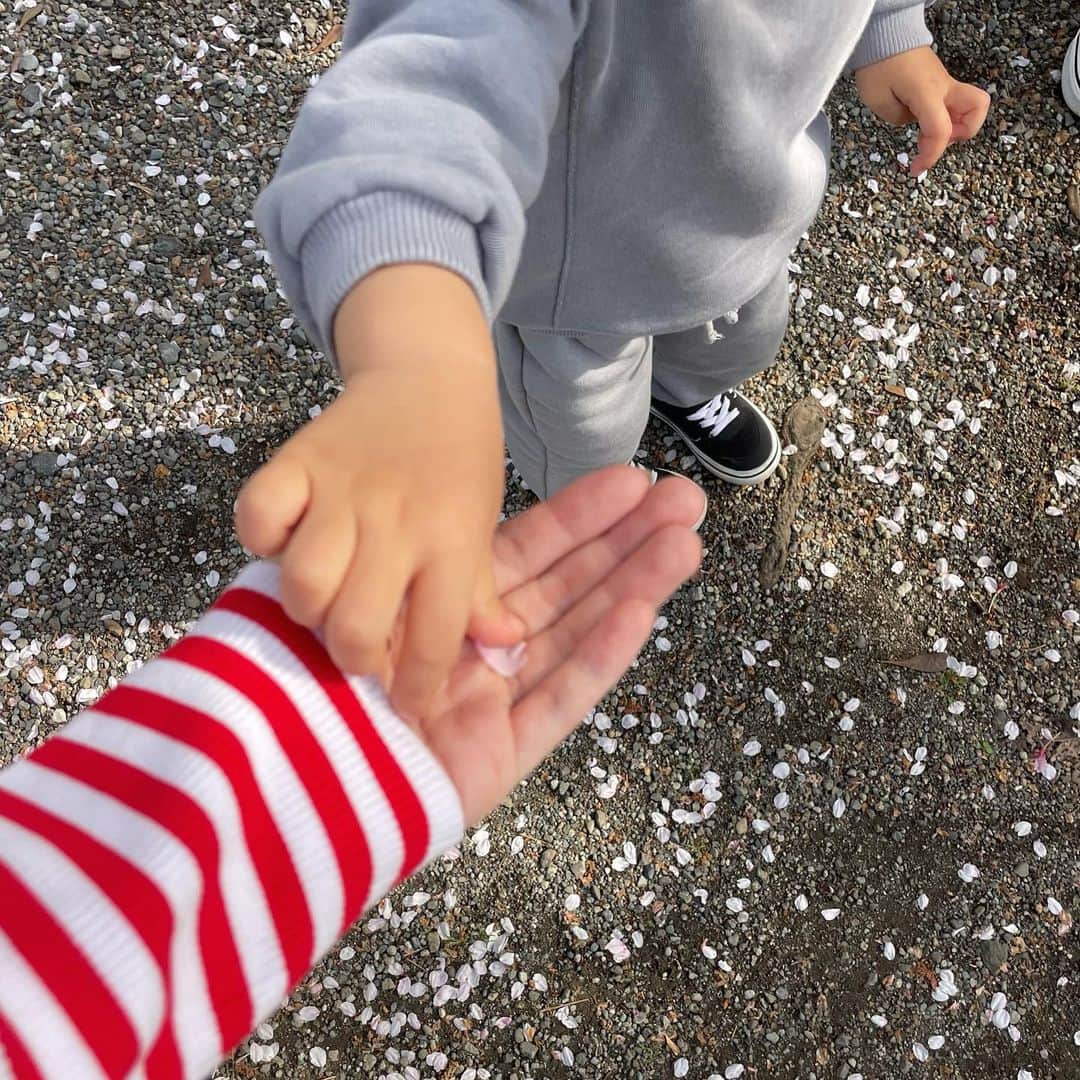 にわみきほのインスタグラム：「お久しぶりの投稿🌸  4月も気付けば半ば....！ ショーンが幼稚園に入園し新生活が始まっています🤝💞  そして臨月を迎えたわたくしですが、 ひとつの目標だった入園式に 無事出席することができてホッと安心し、 気持ちにも余裕ができたので やっと本格的に赤ちゃんを迎える準備をしています👶🏻🫣  明日は雨の予報☔️ 新生活の疲れが出てくる頃だと思うので 皆さんもゆっくり過ごしてくださいね🕊  #亀さんのようにゆっくりゆっくり歩きながら #父ちゃんとショーンの姿を後ろから見守っています🥹 #年少さんになりました👦🏻✨」