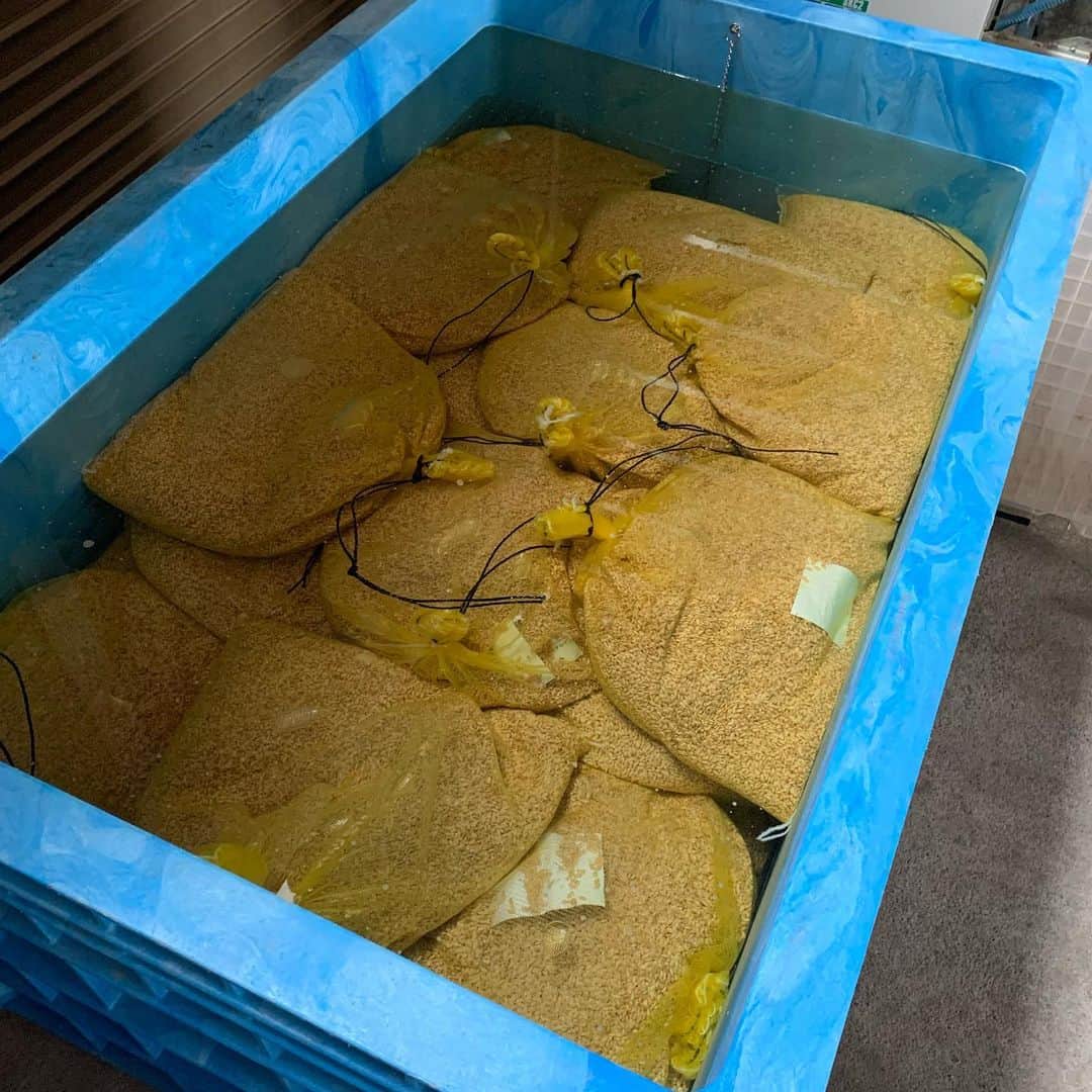 ＪＡ北魚沼（北魚沼農業協同組合）さんのインスタグラム写真 - (ＪＡ北魚沼（北魚沼農業協同組合）Instagram)「#北魚沼の今を伝えたい 2023.4.14 ． 北魚沼地域の米づくりは、まず３月に種籾を60℃のお湯につけてバイ菌を退治する「温湯消毒（おんとうしょうどく）」から始まりました。 ． その後、農家さんのところに届いた種籾は水に漬けて水分をしっかりと吸わせ、発芽しやすくするための準備作業「浸種（しんしゅ）」に続きます。 ． ※3.4.5枚目の写真はJA育苗センターでの浸種作業の様子です。 ． 詳しくは昨年の投稿をCheck✅ →→→ #2022北魚沼米日記 ←←← ． #20230413 #農作業 #田舎の景色  #田舎の風景 #故郷の風景 #日本人はやっぱりお米  #北魚沼産コシヒカリ  #魚沼産コシヒカリ #北魚沼産新之助  #2023北魚沼米日記 ． #uonuma_japan #japan_of_insta  #japan_daytime_view  #niigata  #uonuma #田舎暮らし #田舎暮らしを楽しむ  #移住者募集 #農家募集 #第二の故郷 #遊びにおいでよ魚沼へ ． #新潟県 #魚沼市 #長岡市川口 #JA北魚沼」4月14日 21時34分 - jakitauonuma_official