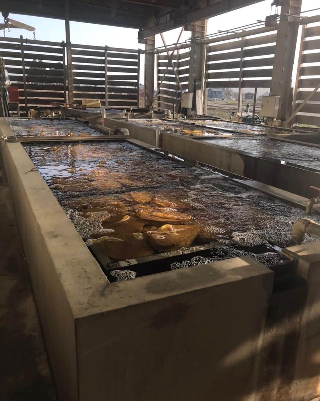 ＪＡ北魚沼（北魚沼農業協同組合）さんのインスタグラム写真 - (ＪＡ北魚沼（北魚沼農業協同組合）Instagram)「#北魚沼の今を伝えたい 2023.4.14 ． 北魚沼地域の米づくりは、まず３月に種籾を60℃のお湯につけてバイ菌を退治する「温湯消毒（おんとうしょうどく）」から始まりました。 ． その後、農家さんのところに届いた種籾は水に漬けて水分をしっかりと吸わせ、発芽しやすくするための準備作業「浸種（しんしゅ）」に続きます。 ． ※3.4.5枚目の写真はJA育苗センターでの浸種作業の様子です。 ． 詳しくは昨年の投稿をCheck✅ →→→ #2022北魚沼米日記 ←←← ． #20230413 #農作業 #田舎の景色  #田舎の風景 #故郷の風景 #日本人はやっぱりお米  #北魚沼産コシヒカリ  #魚沼産コシヒカリ #北魚沼産新之助  #2023北魚沼米日記 ． #uonuma_japan #japan_of_insta  #japan_daytime_view  #niigata  #uonuma #田舎暮らし #田舎暮らしを楽しむ  #移住者募集 #農家募集 #第二の故郷 #遊びにおいでよ魚沼へ ． #新潟県 #魚沼市 #長岡市川口 #JA北魚沼」4月14日 21時34分 - jakitauonuma_official
