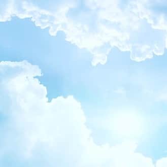 のインスタグラム：「Blue sky  Spring Time」
