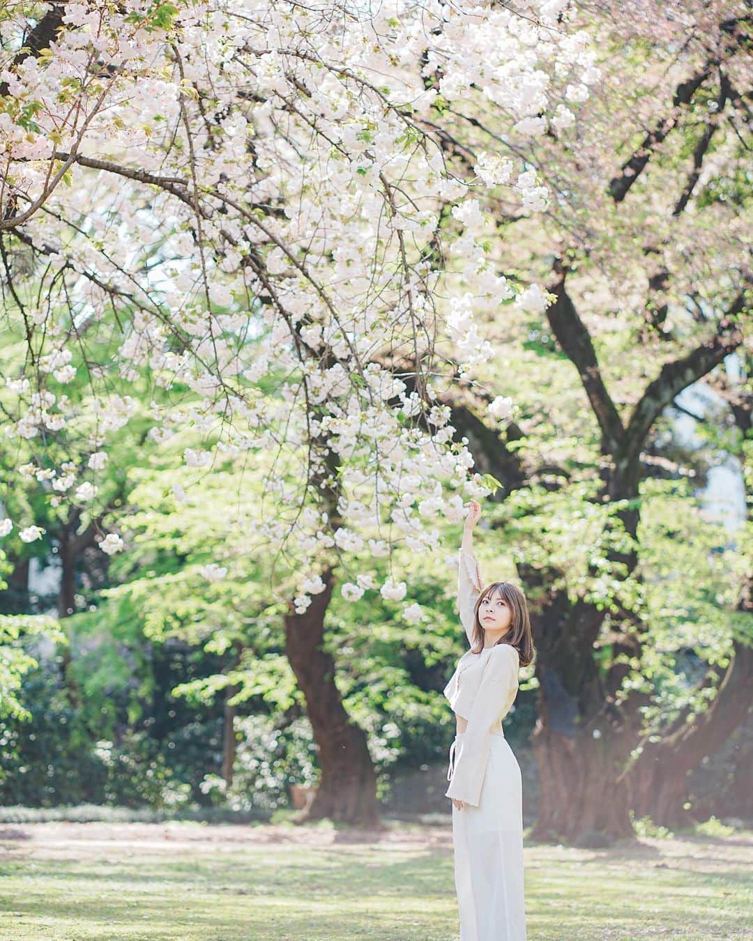 草場愛さんのインスタグラム写真 - (草場愛Instagram)「緑とピンクが混ざって綺麗だった🌸🍃 . photo: @tm_fm7」4月14日 21時50分 - manami_k1017