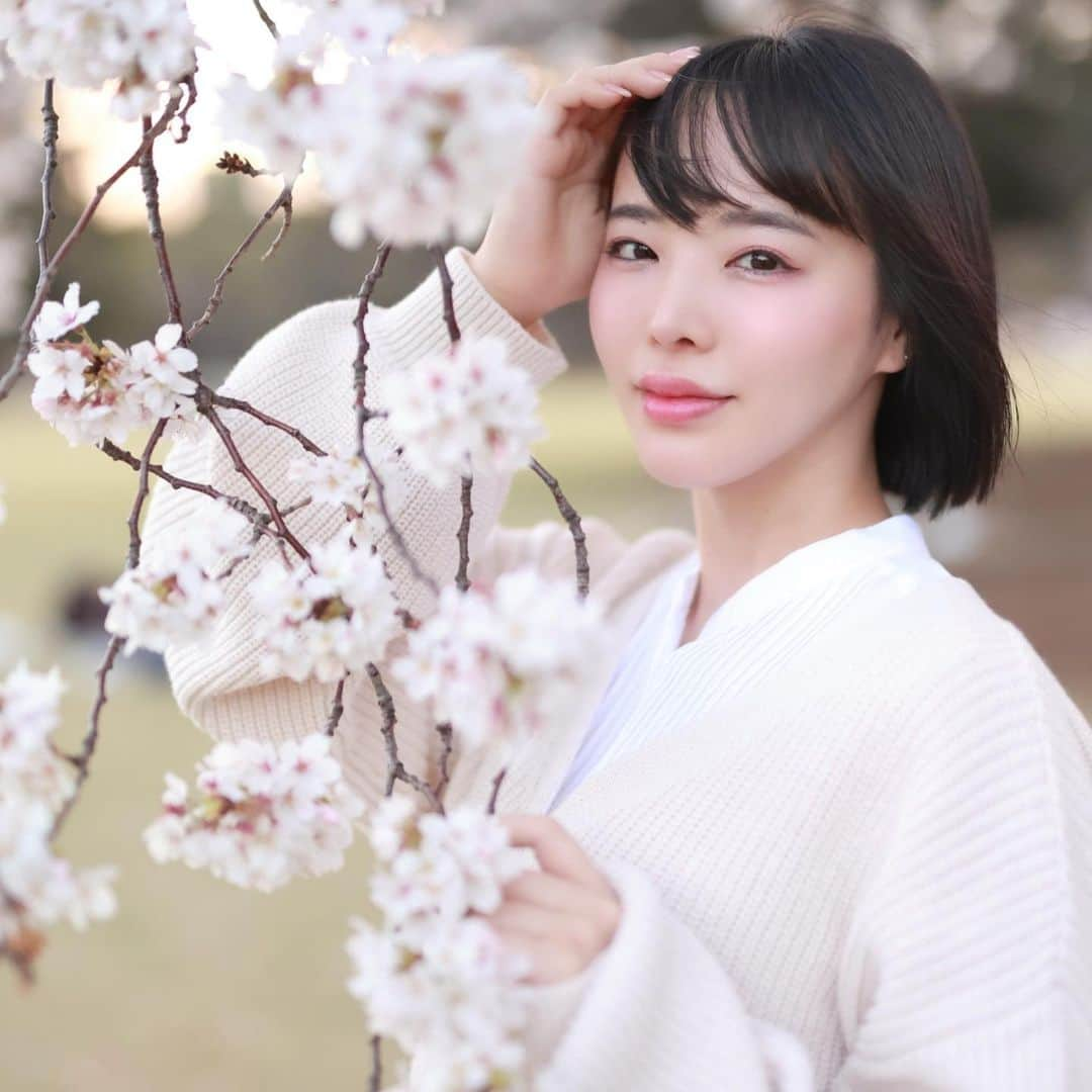 三宮つばきさんのインスタグラム写真 - (三宮つばきInstagram)「見つけた♡  #お花見 #桜 #ポートレート #東京  #お花見コーデ #お花見スポット #お花見デート #お花見🌸  #桜 #さくら #cherryblossom #cherryblossoms #cherry」4月14日 22時01分 - tsubaki_s_cmore